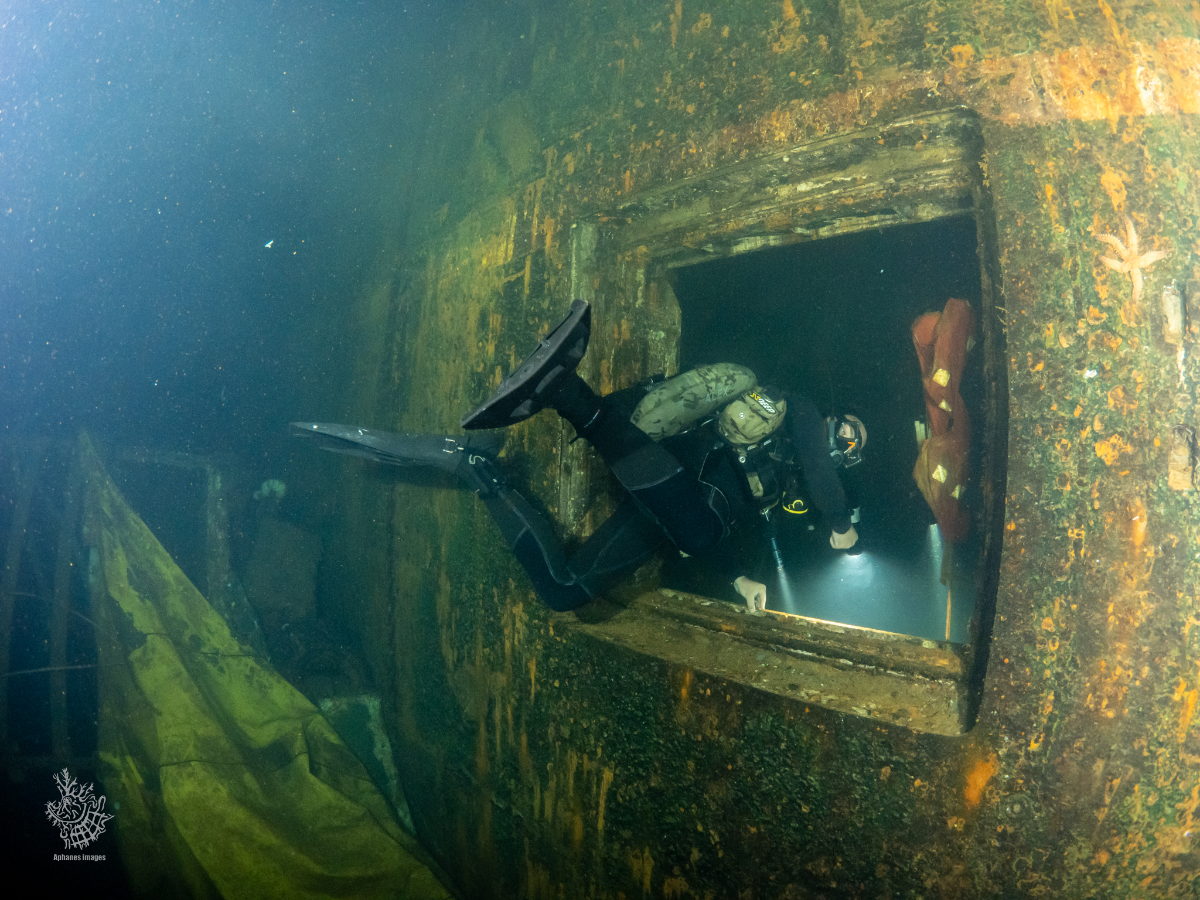 A scuba diver exploring a submerged shipwreck with moss and marine growth on its walls, using a flashlight.