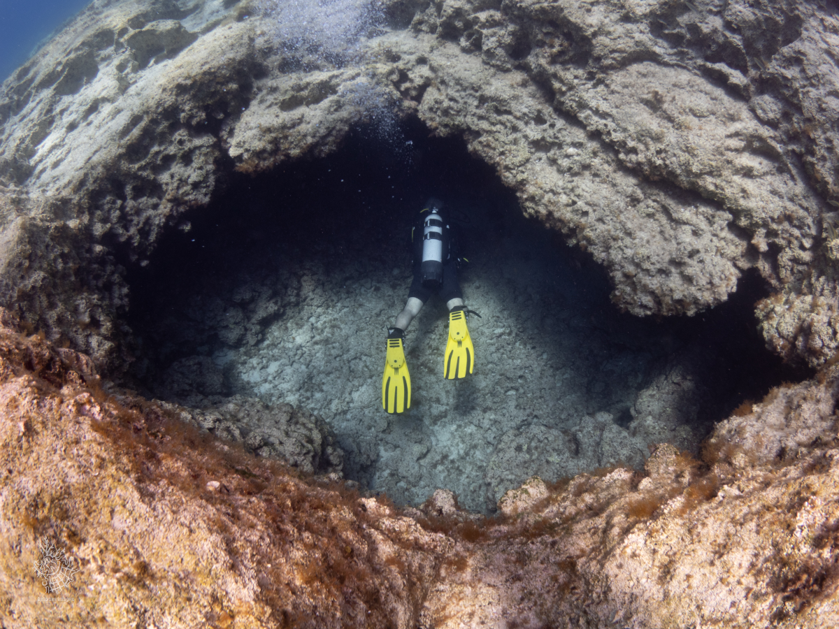 A scuba diver in a wetsuit and yellow fins exploring underwater near a rocky coral formation with a small cave.
