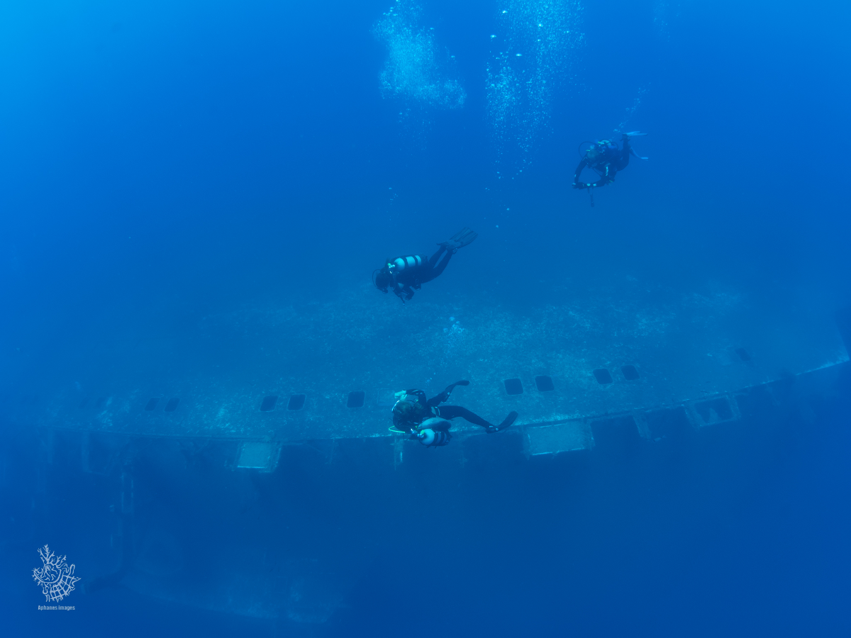 Three scuba divers exploring under a sunken shipwreck in the deep blue ocean.