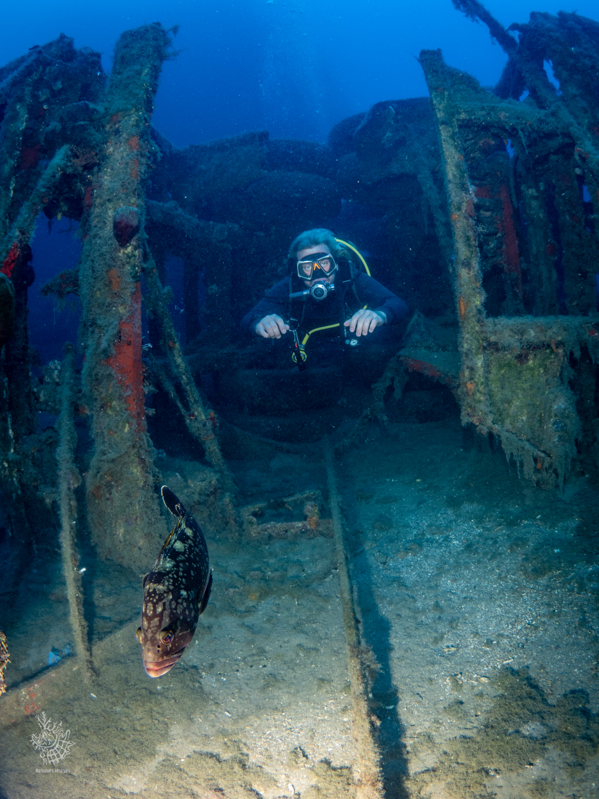 A scuba diver exploring a sunken zenobia shipwreck in Larnaca underwater with a fish swimming nearby.