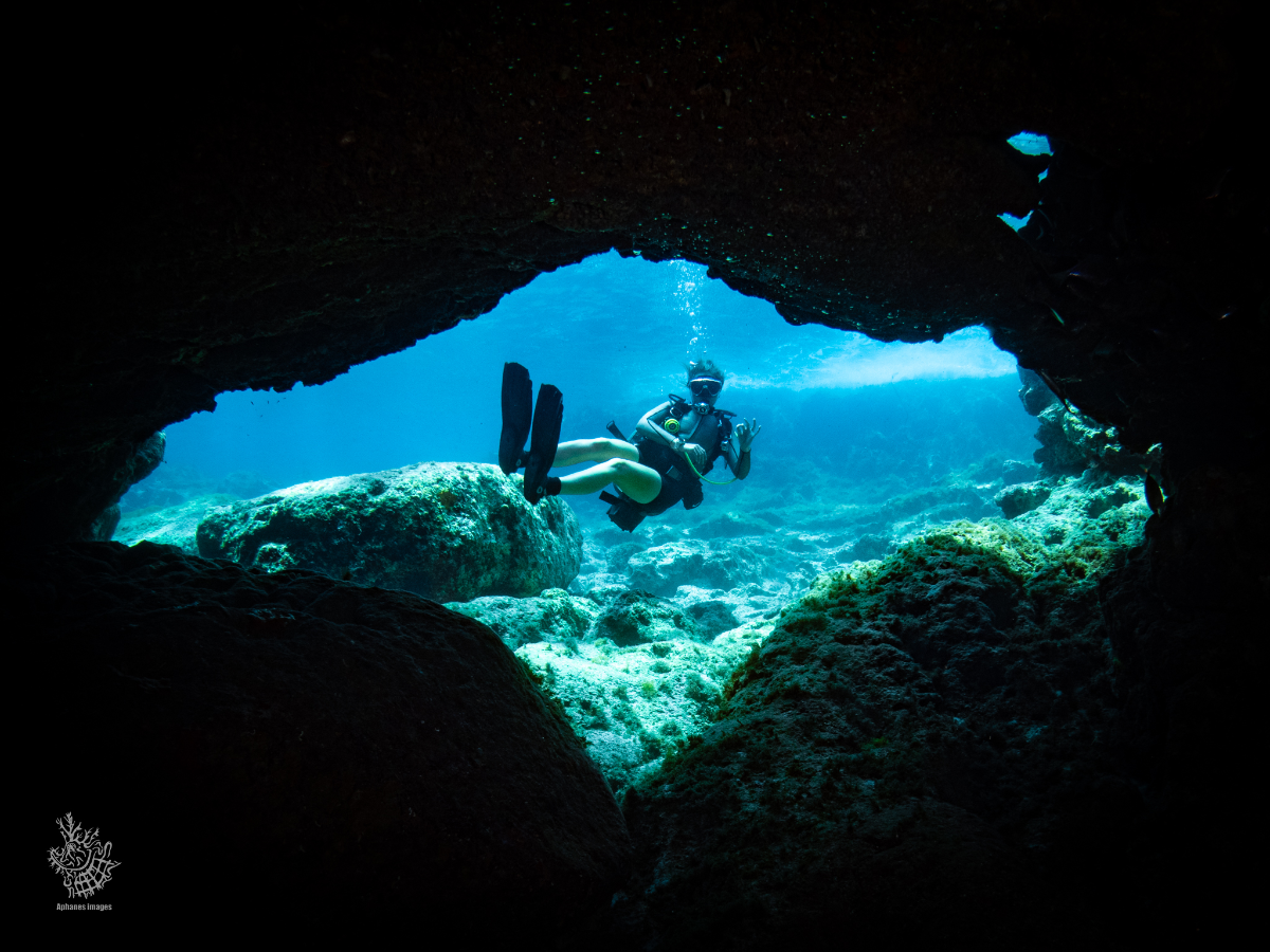 A scuba diver swimming inside a cave underwater with rocks and coral visible, as viewed from the cave opening.