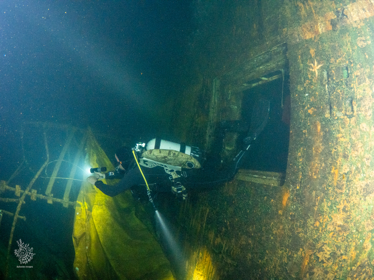 A diver exploring the interior of a sunken shipwreck, illuminated by a flashlight.