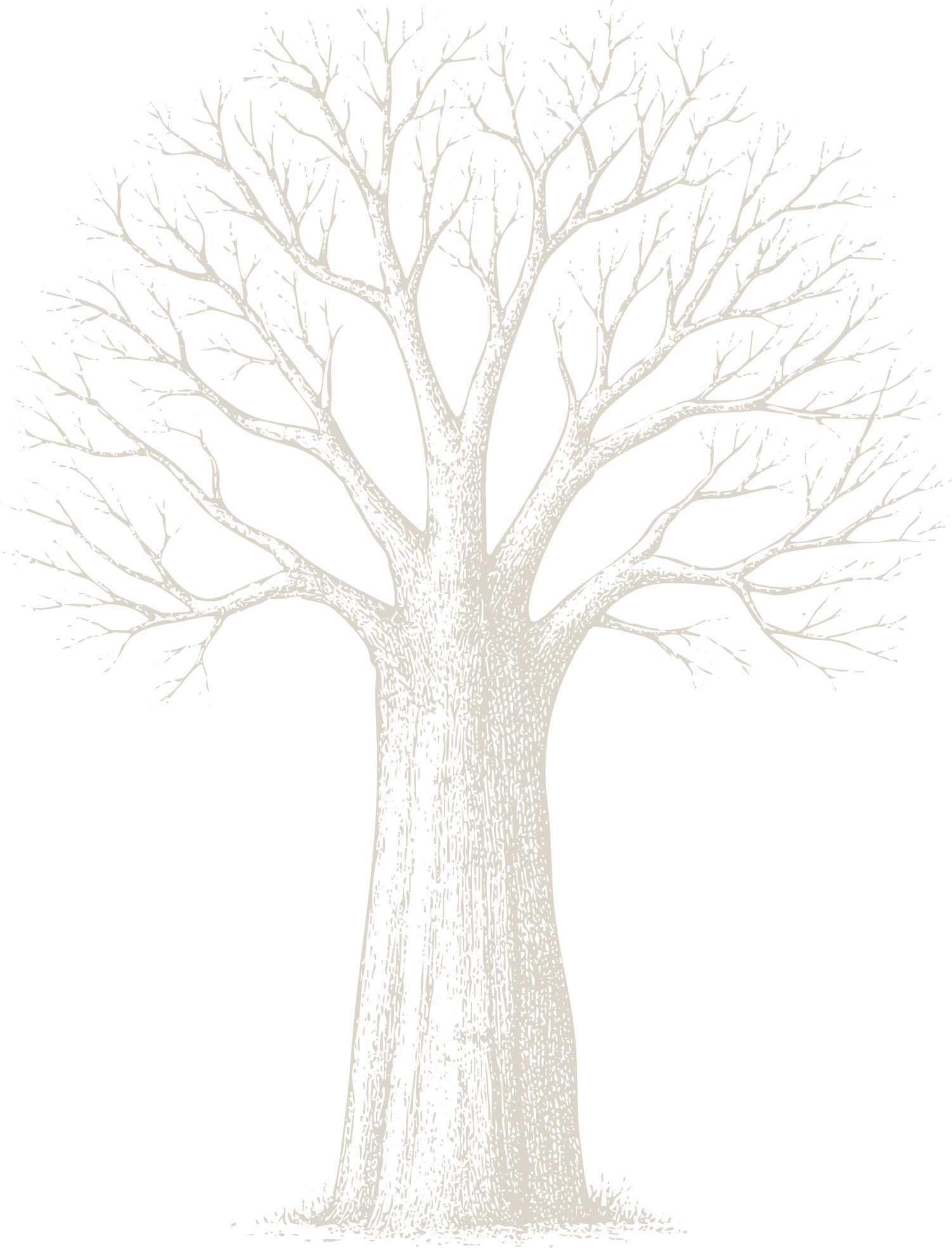 Black and white illustration of a leafless tree with many branches.