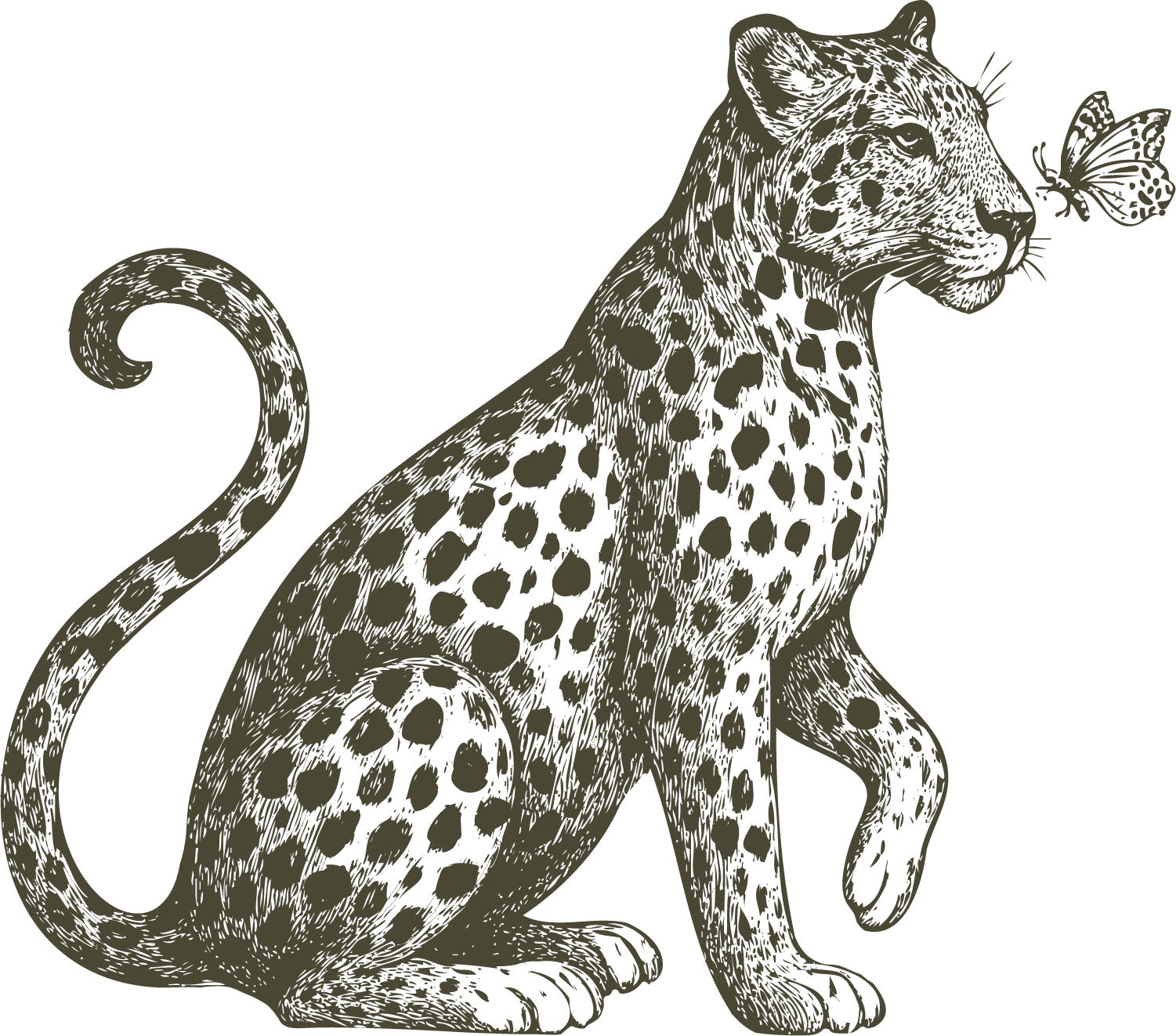 custom brand illustration for a live wedding portrait artist