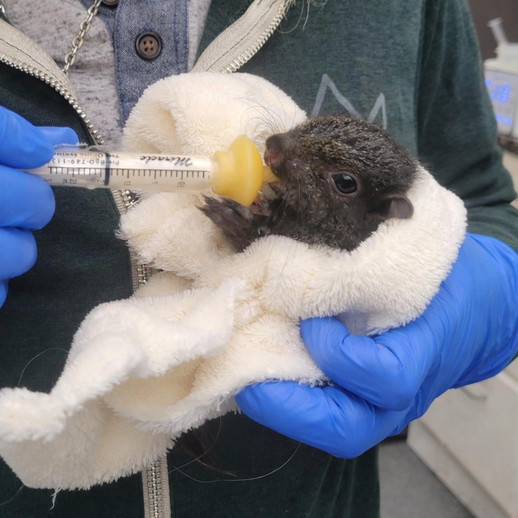 Alternative Recycling: Bringing New Life to Old Items