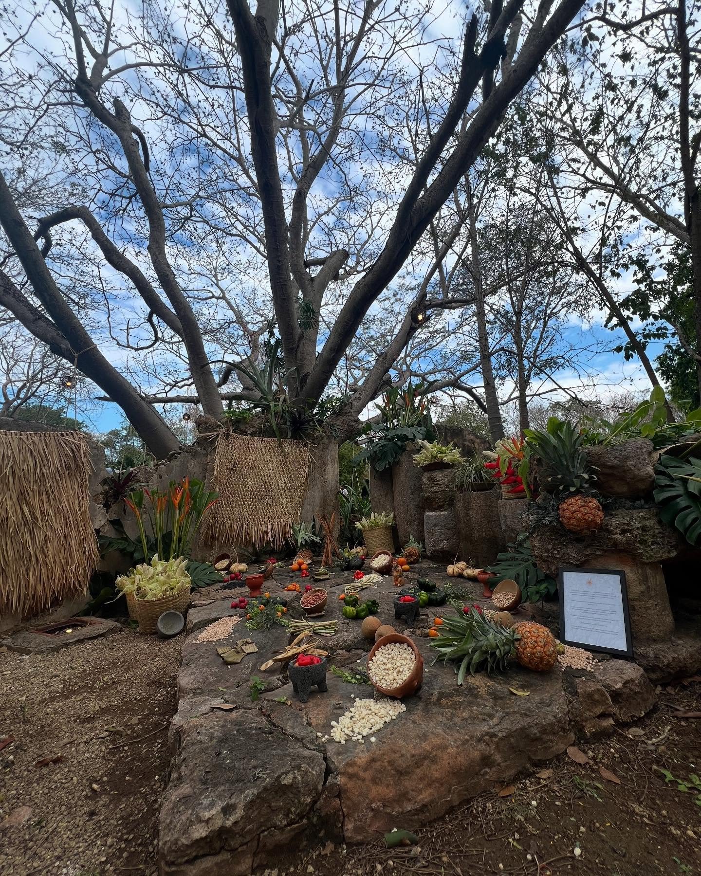 A magical, beautifully intentional celebration of life, love, and union &iexcl;Felicidades! @ivanamaria @a.delsol.g 
Gracias por reunirnos a todos! ✨🌸🤍