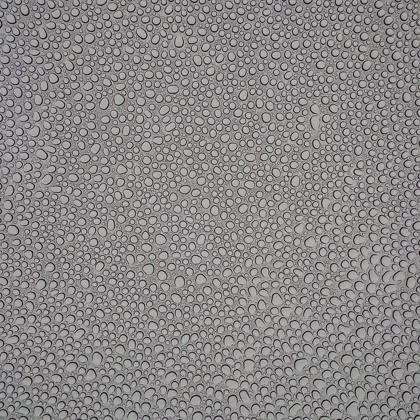 Rain Drops 🌧️ 
MEK Photography