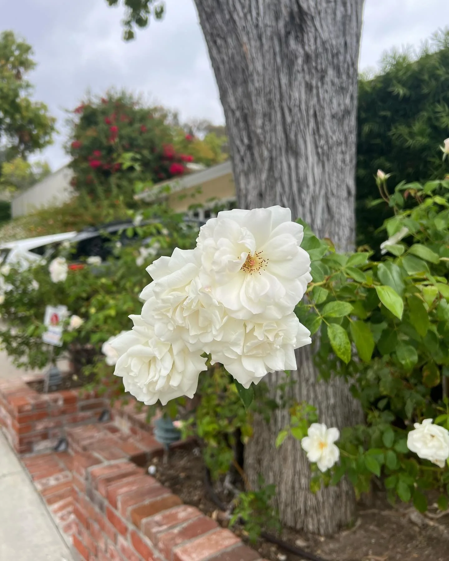 18/40: &ldquo;If you want to change the way others treat you, you should first change the way you treat yourself. Unless you learn to love yourself, fully and sincerely, there is no way you can be loved. Once you achieve that stage, however, be thank