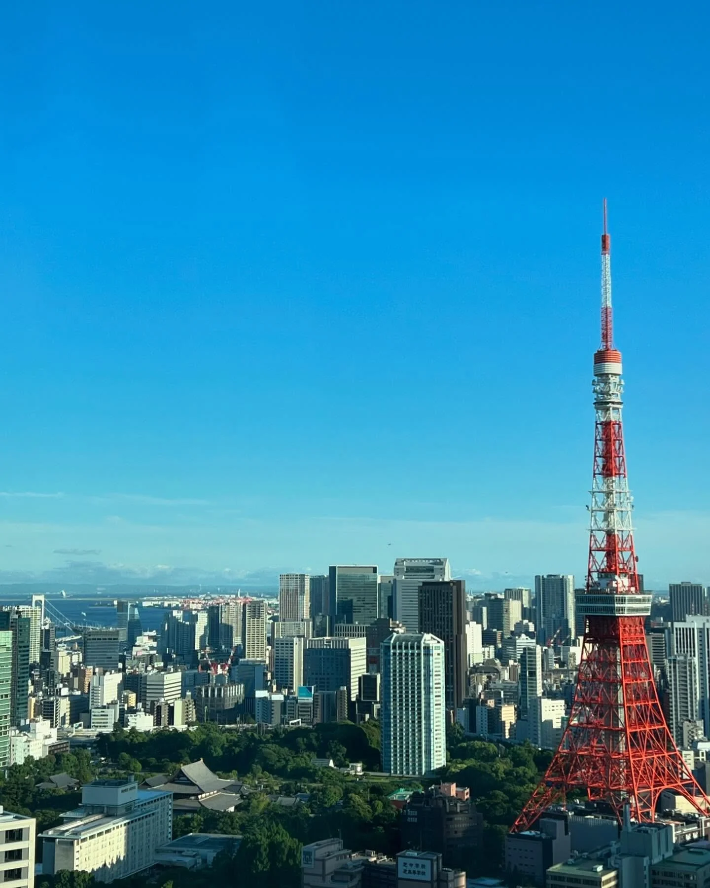 Take a stroll with me.

Rule 8/40: &ldquo;Patience does not mean to passively endure. It means to look at the end of a process. What does patience mean? It means to look at the thorn and see the rose, to look at the night and see the dawn. Impatience