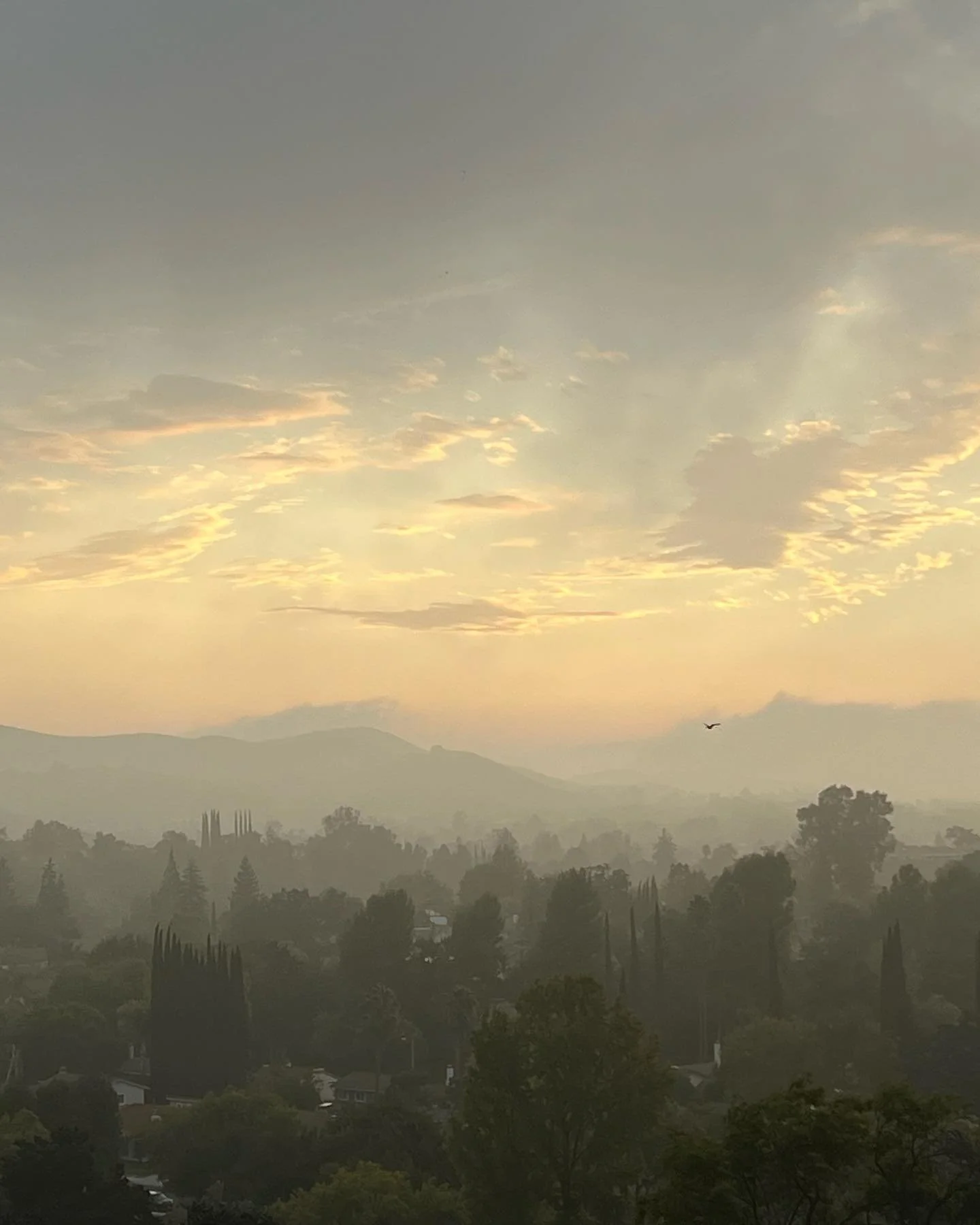 In awe of nature&rsquo;s layers ✨