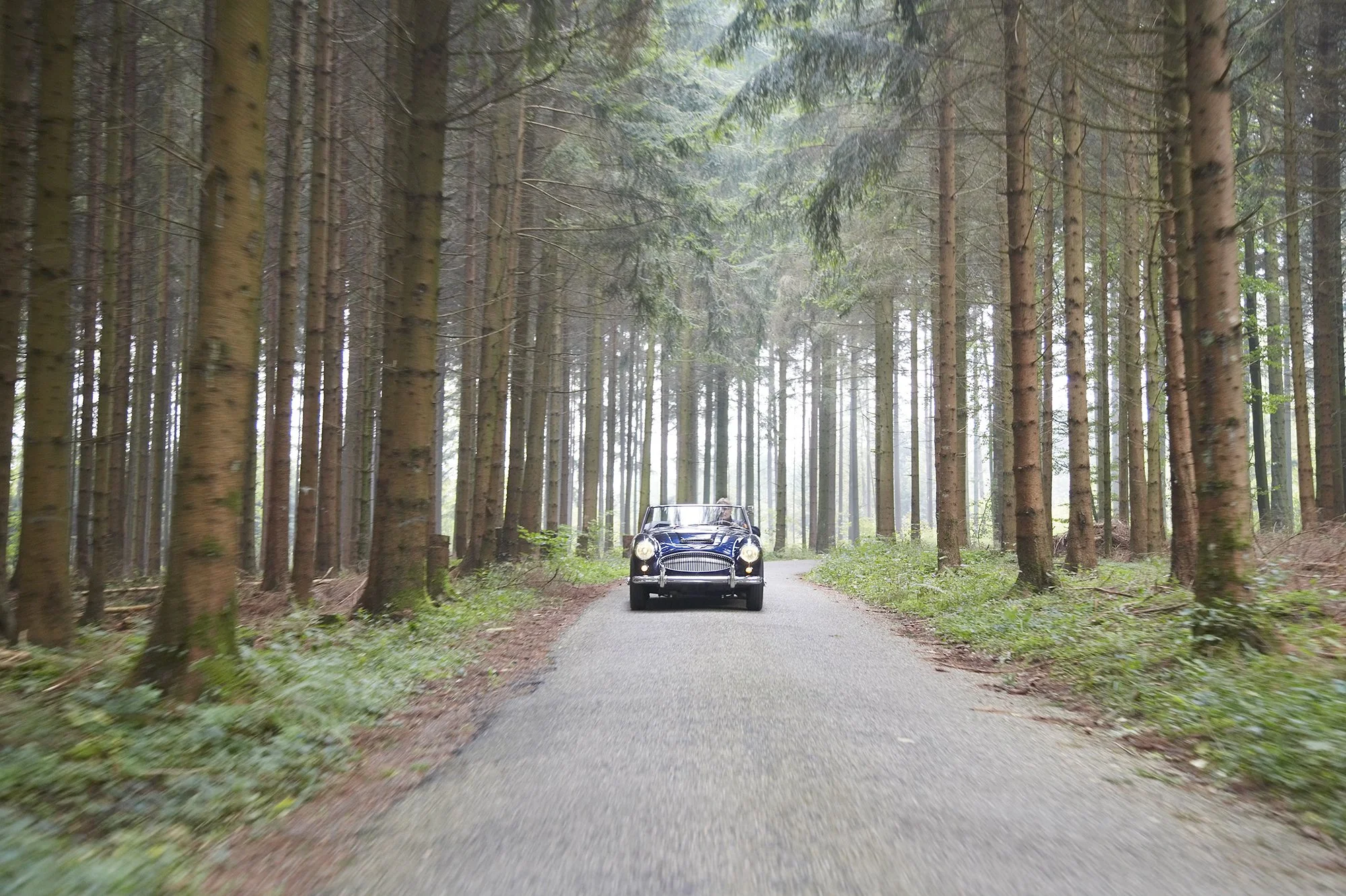 Classic Cars Club-122helloN.jpg