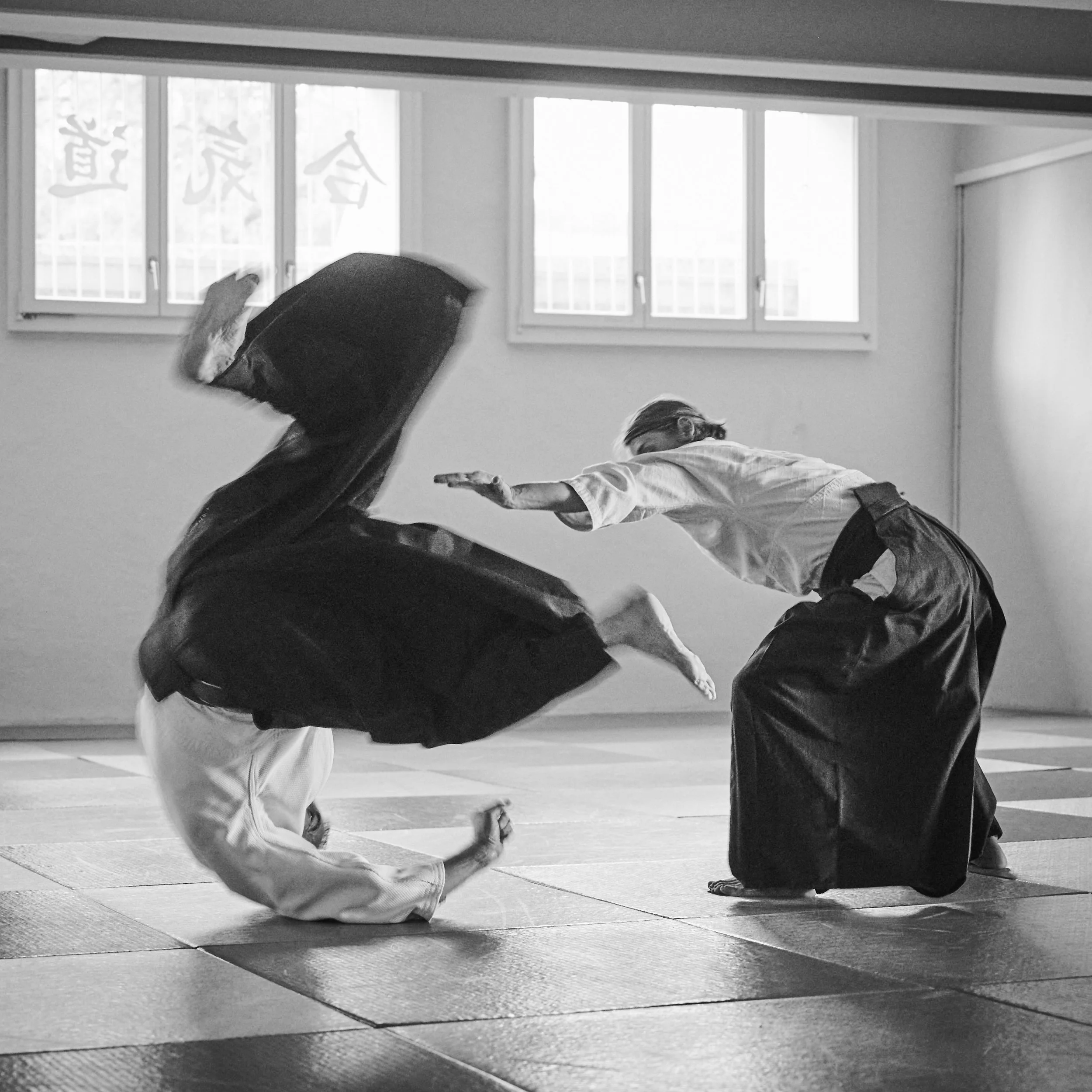Aikido Hansruedi 08-25-1415.jpg