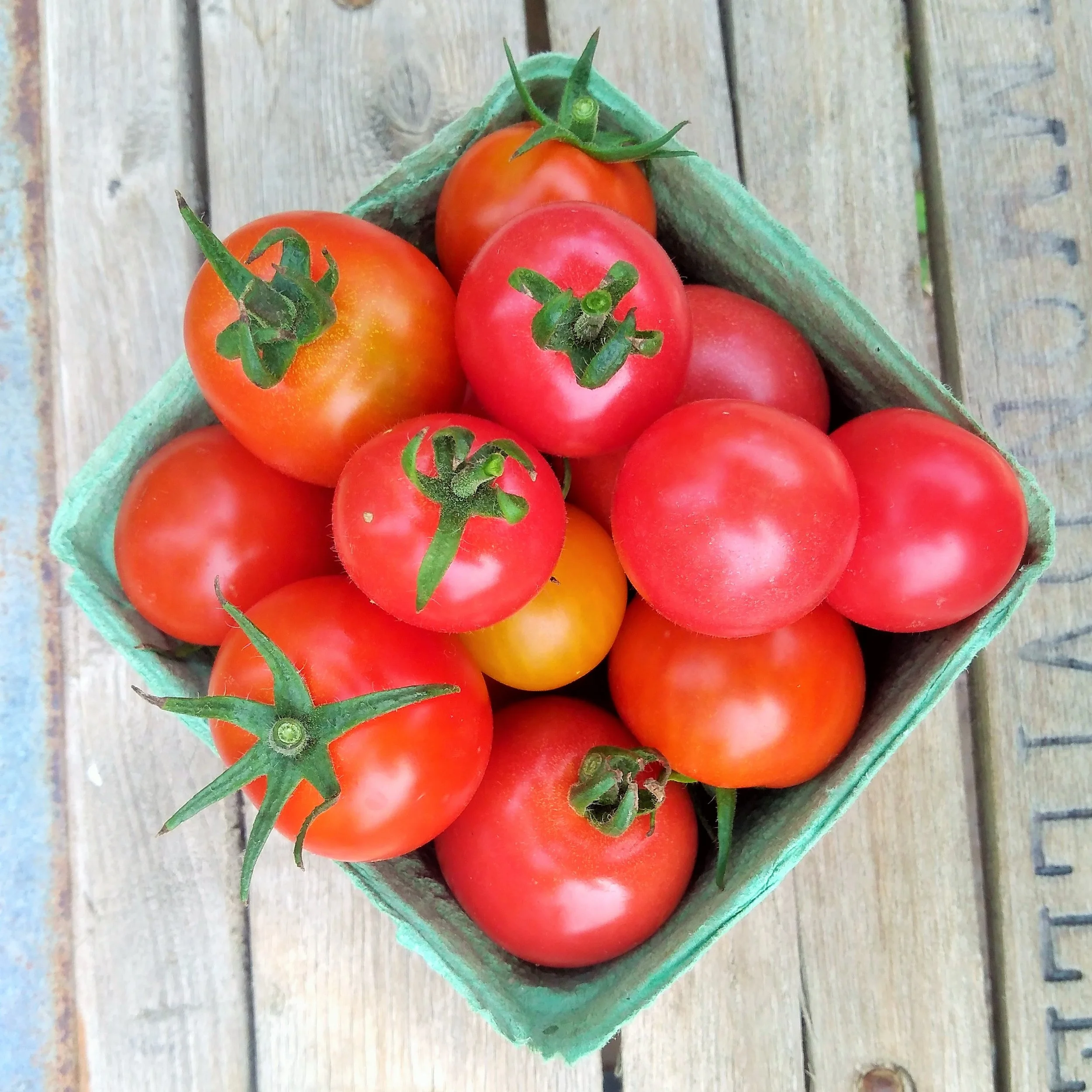 Barquette de tomates 