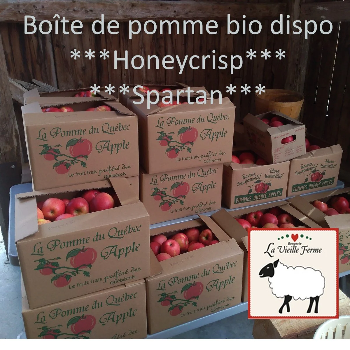 boîte de pomme bio.jpg