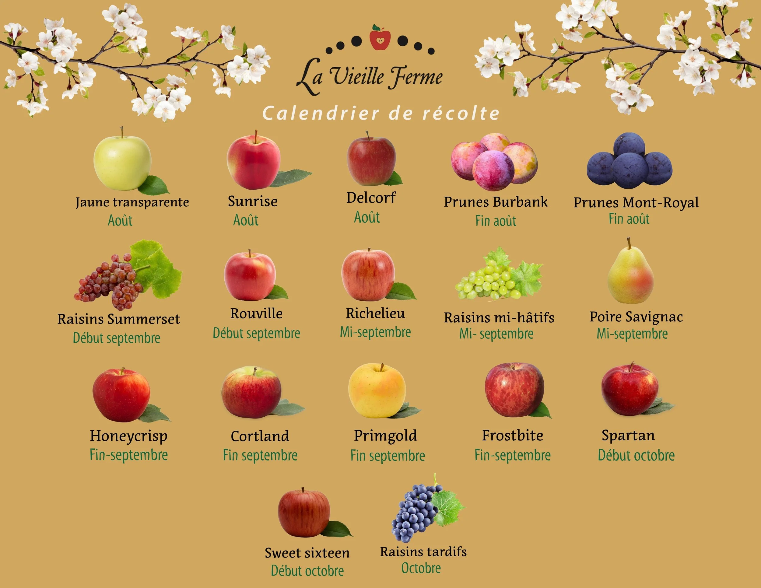 Calendrier de récolte des varitétés