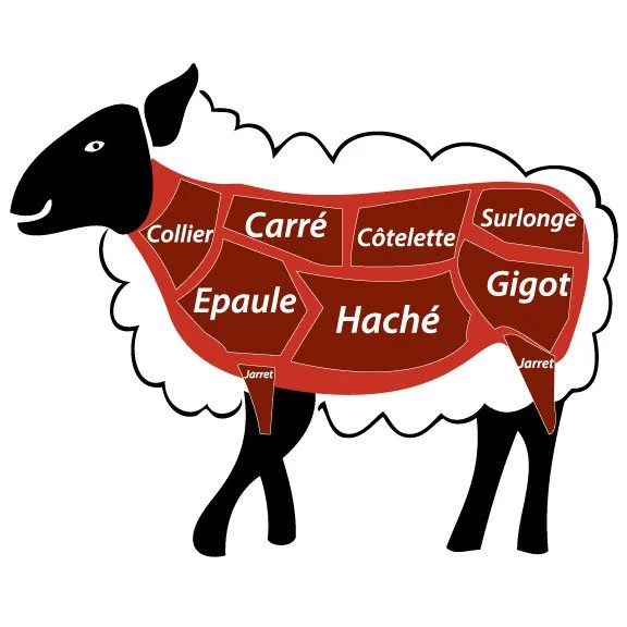 Pièces de viande sur un agneau