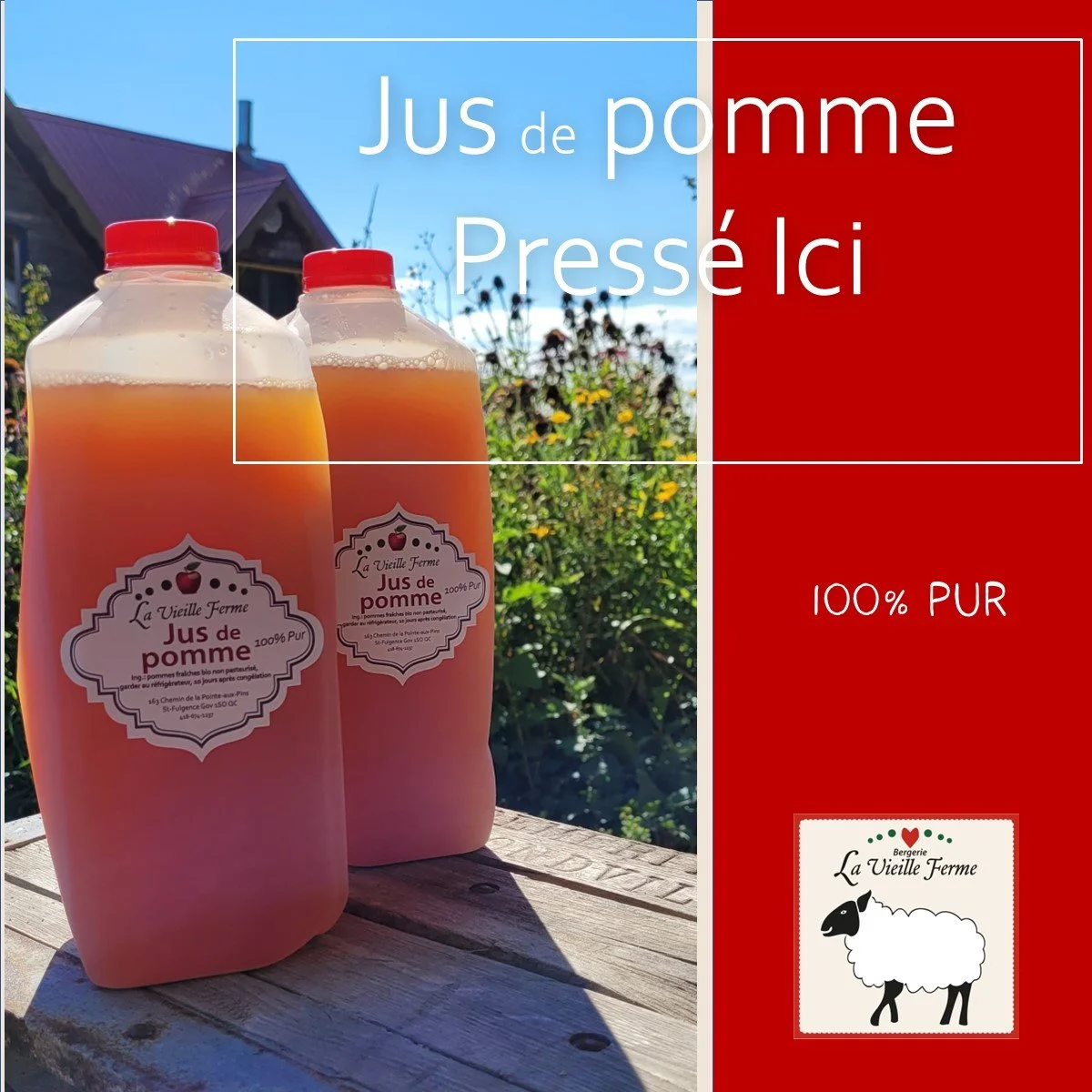 jusdepommebio.jpg