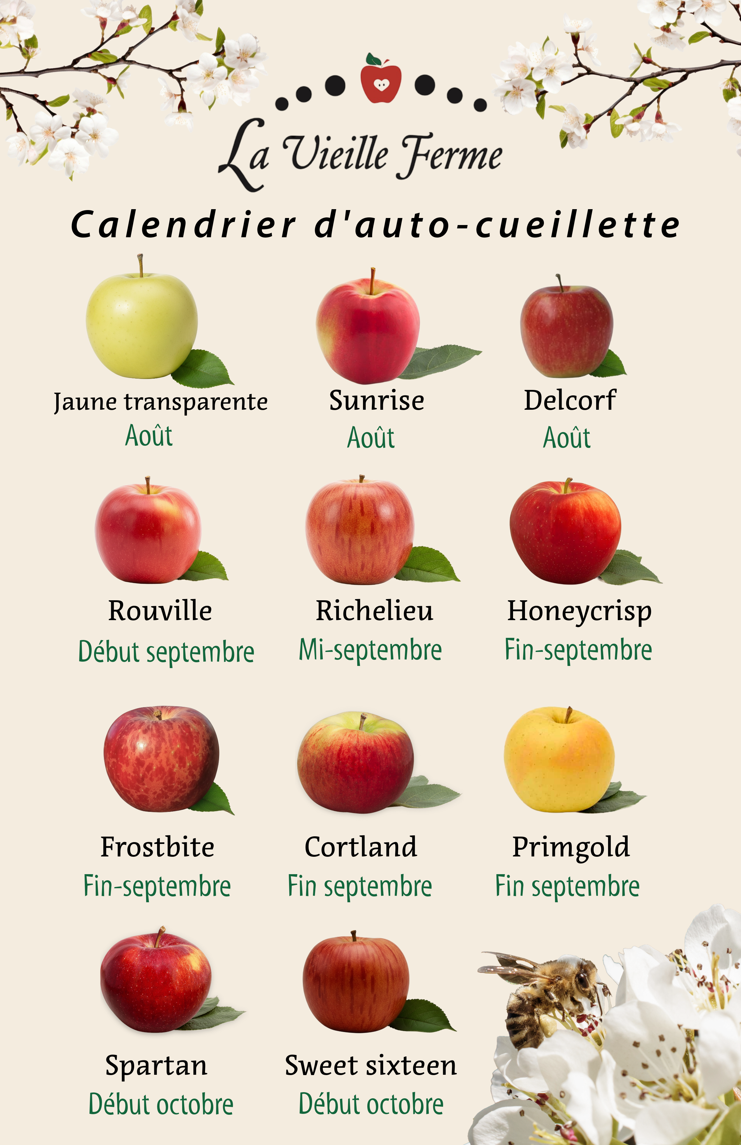 Calendrier de récolte des varitétés