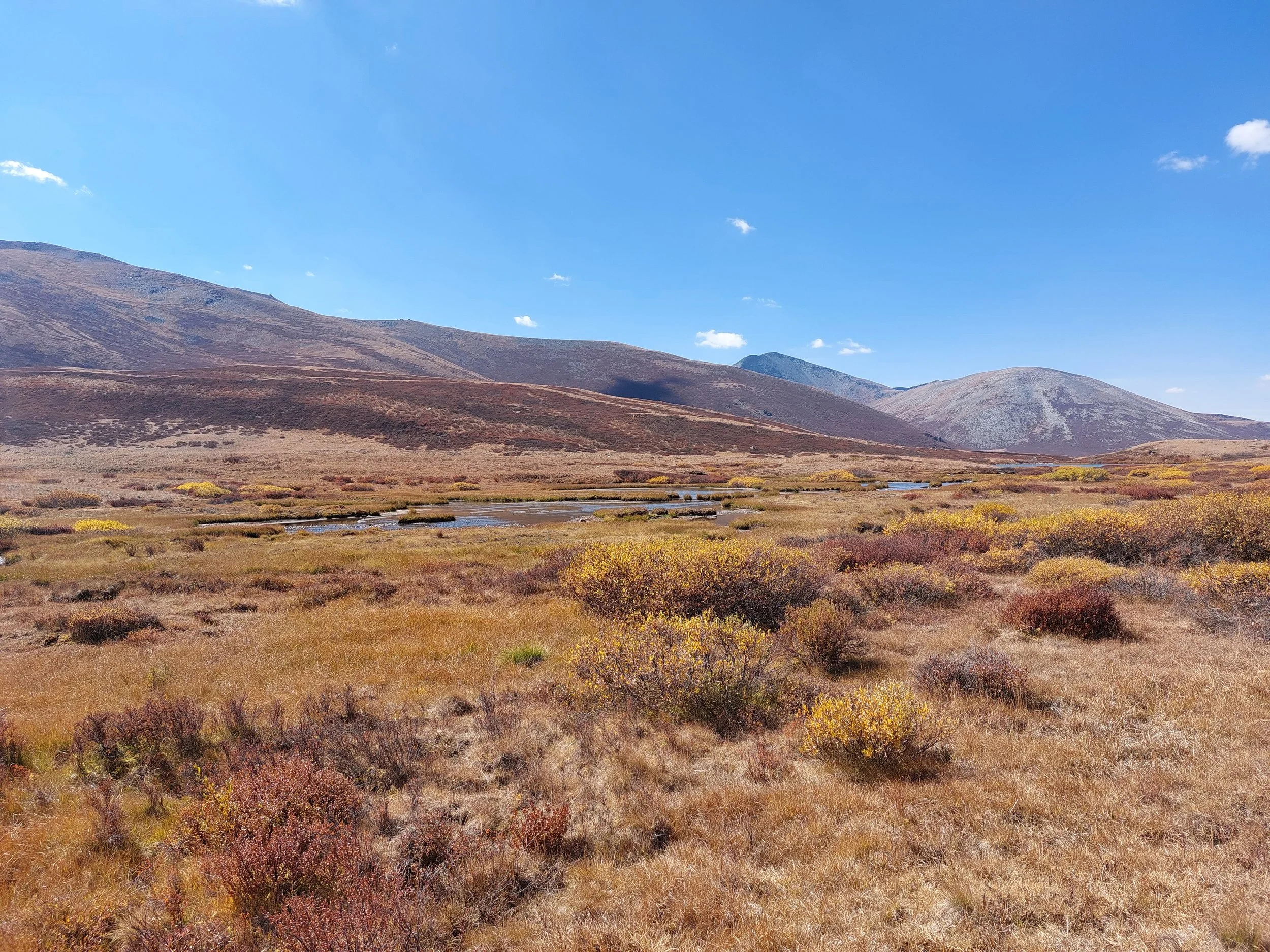 Open landscape of plains with brown, yellow, and green shrubs, a small river, and distant mountains under a blue sky with scattered clouds.