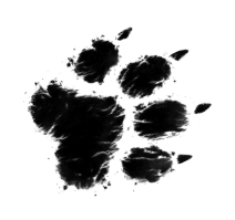 Black ink splash on a white background.