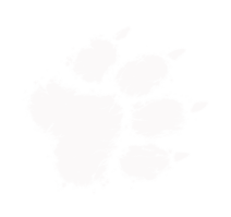 Black and white silhouette of a paw print with five toes.