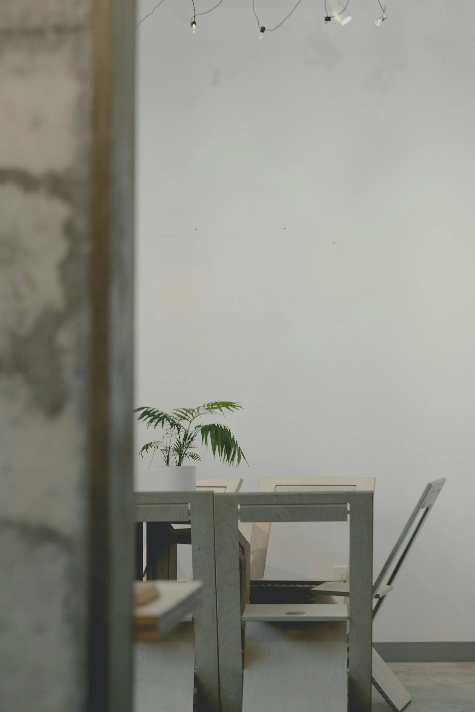Part of a room with a white wall, a wooden dining table, white chairs, a potted plant, and string lights hanging from the ceiling