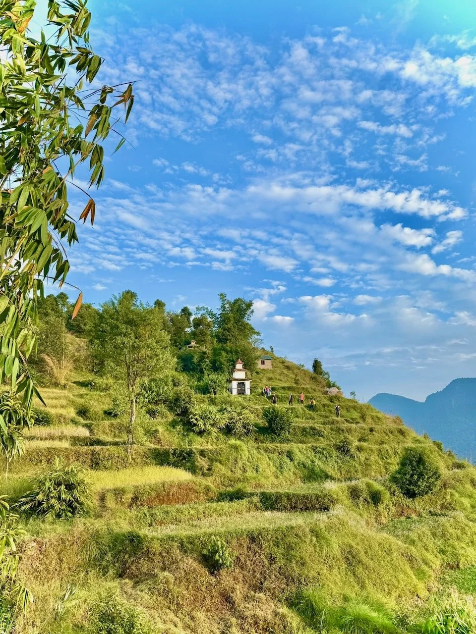 Sam and Jax Nepal - 59 of 66.jpeg