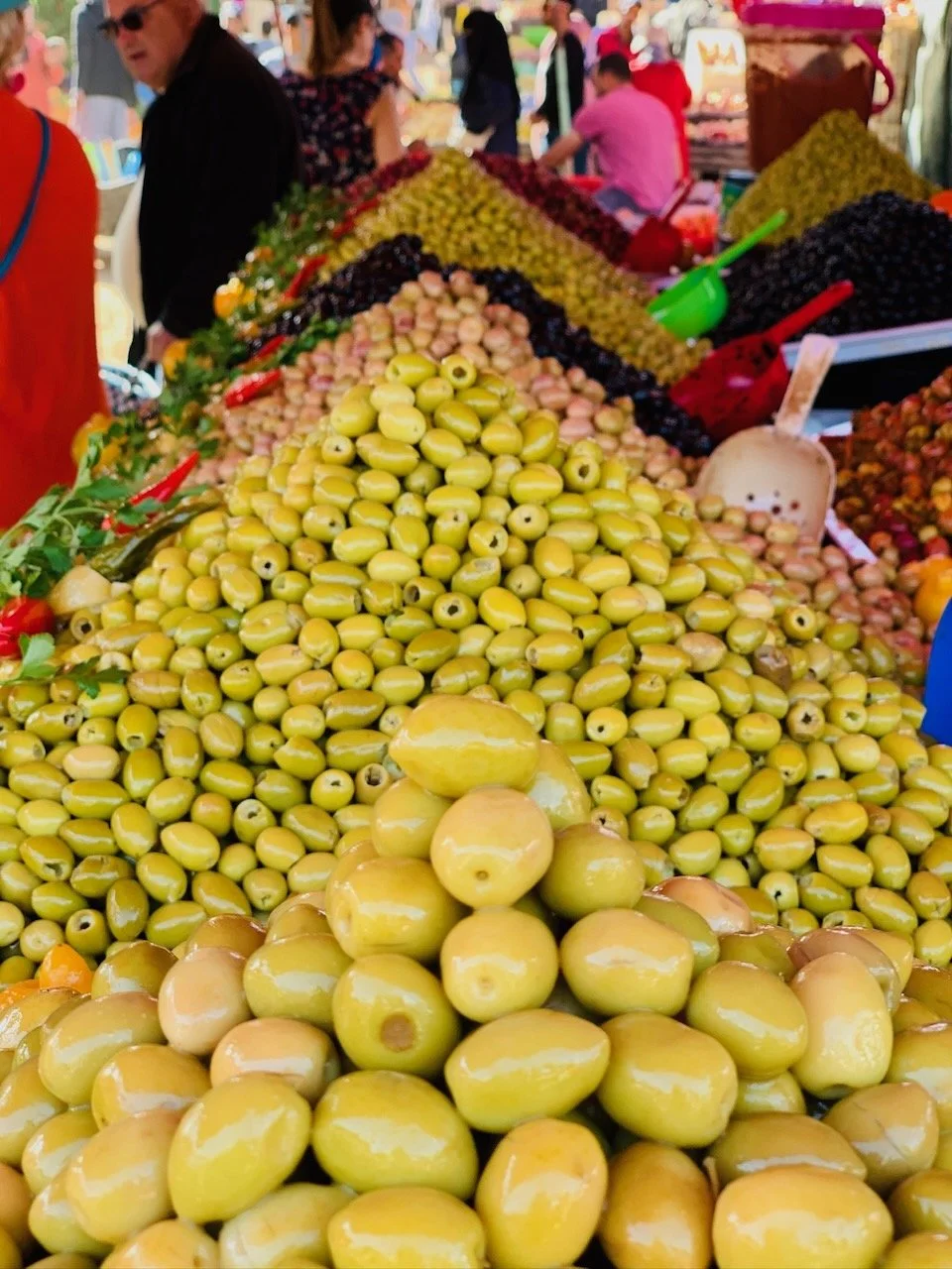 Sam and Jax Morocco - 5 of 32.jpeg