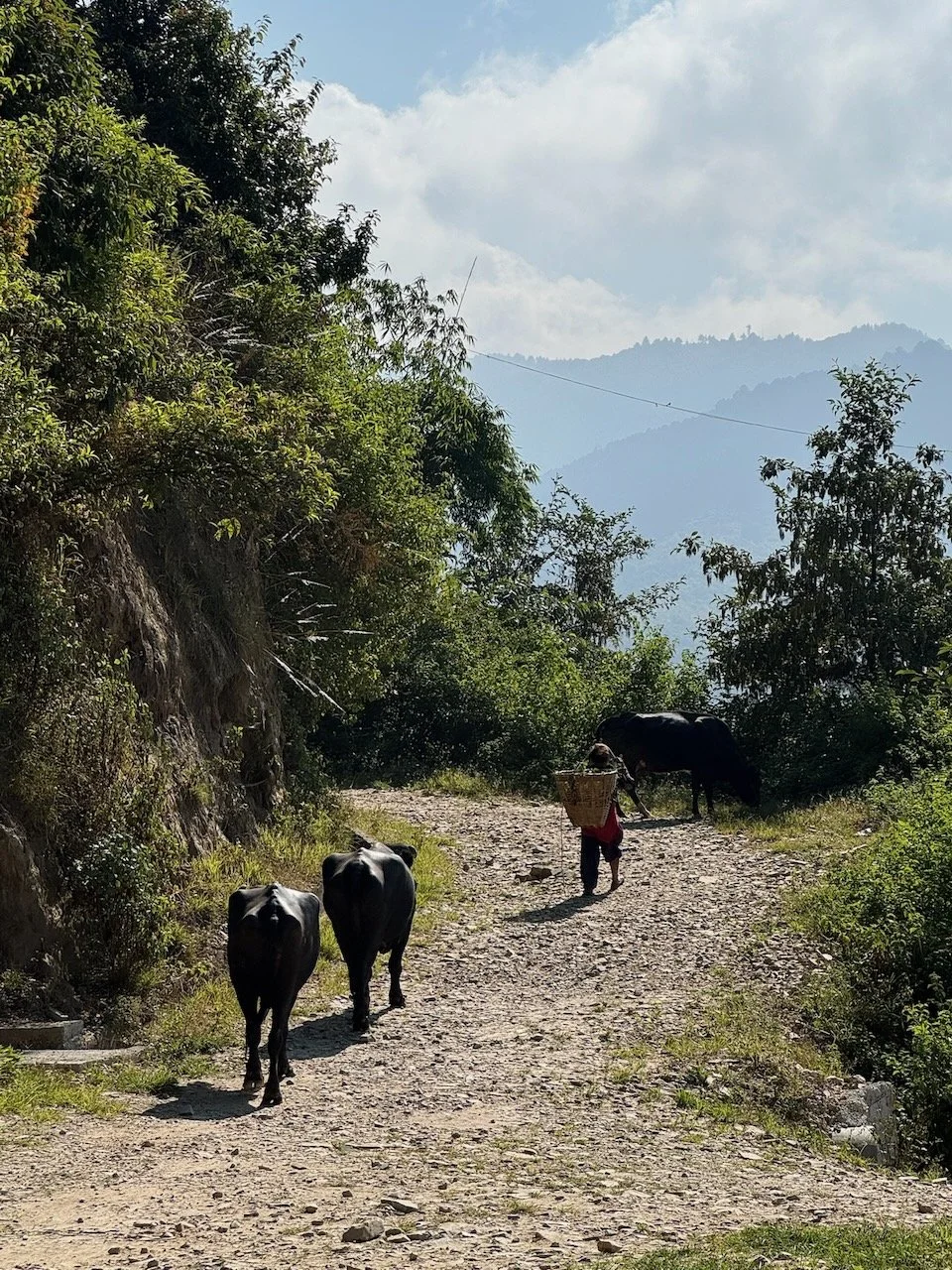 Sam and Jax Nepal - 23 of 66.jpeg