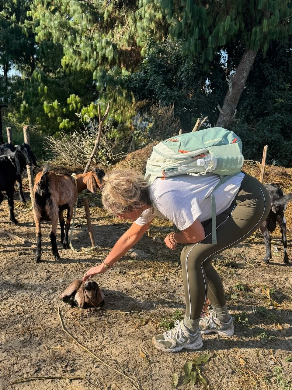 Sam and Jax Nepal - 18 of 66.jpeg