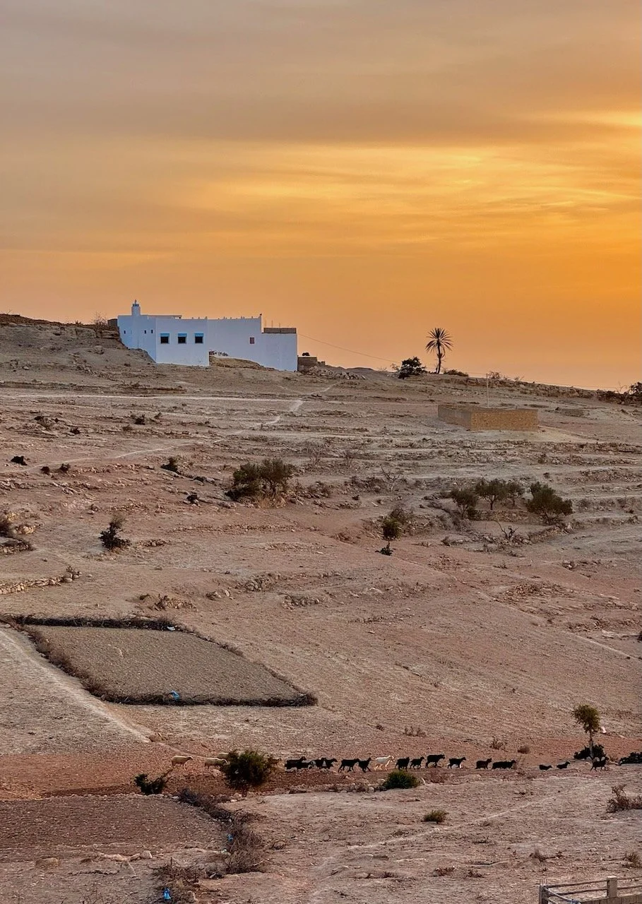 Sam and Jax Morocco - 23 of 32.jpeg