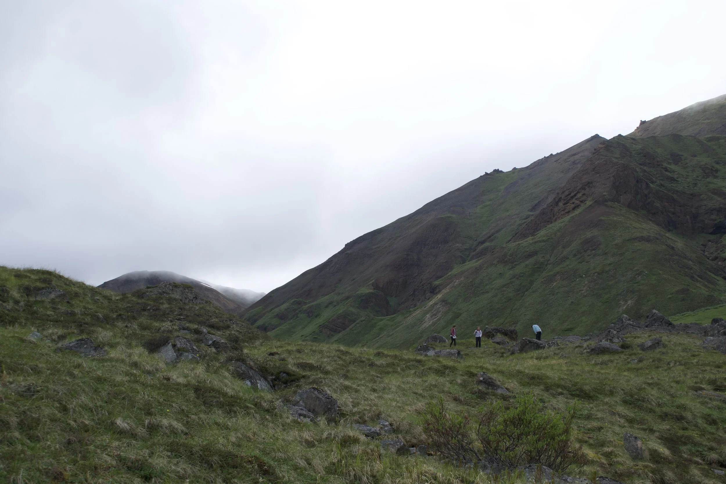 DSC_1148.jpeg