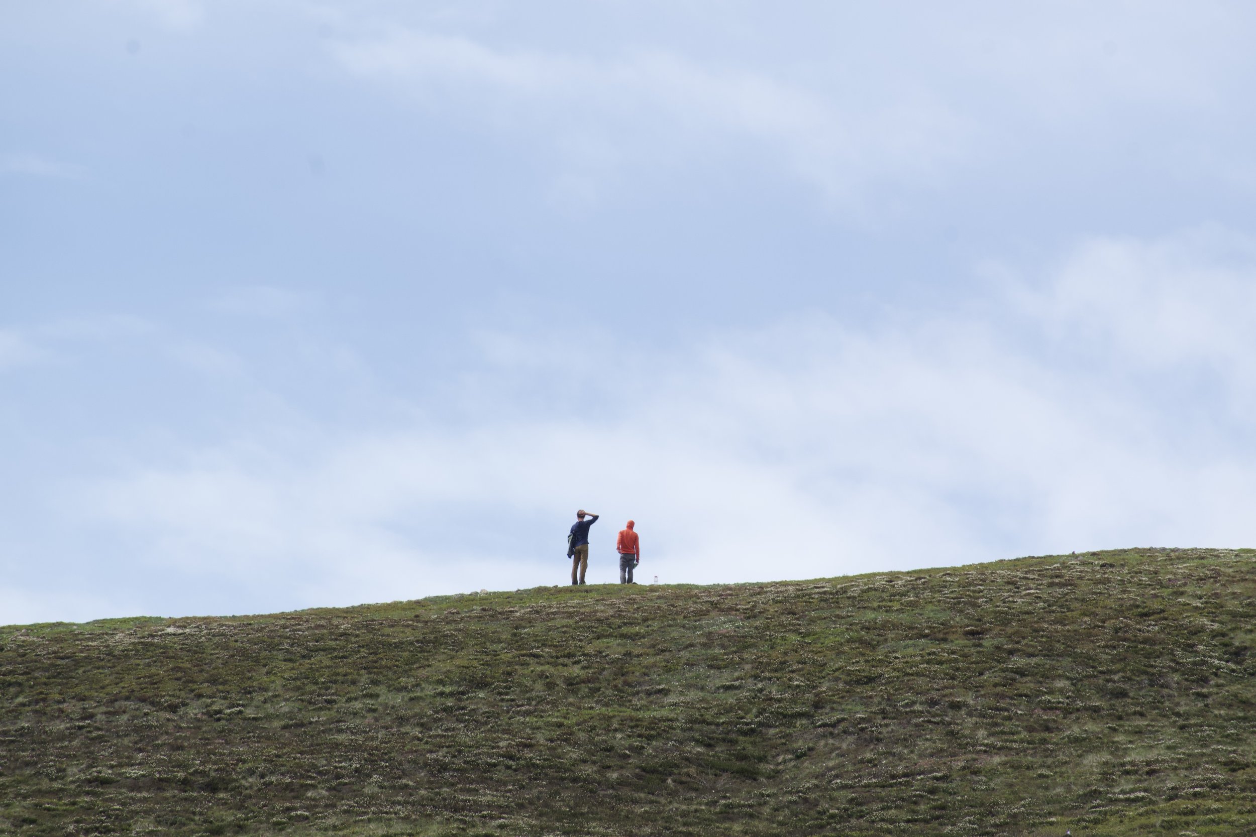 DSC_1275.jpeg