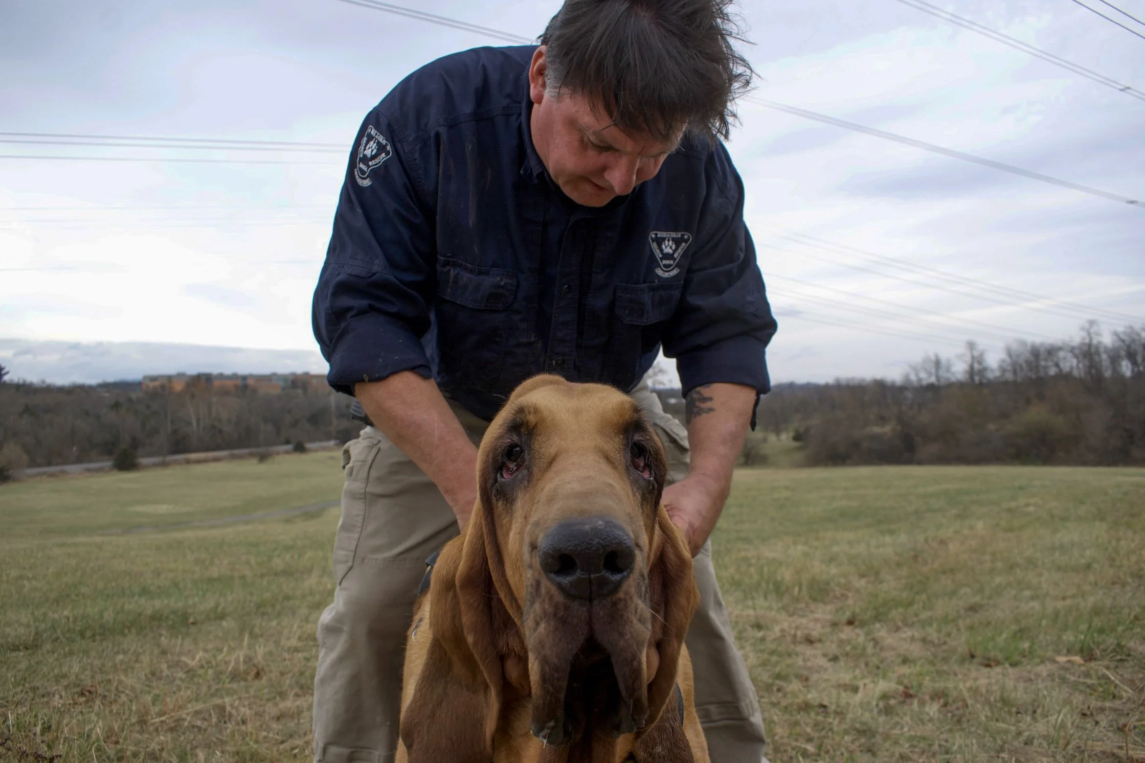 Under Blue and Gray Skies - SAR Nonprofit 