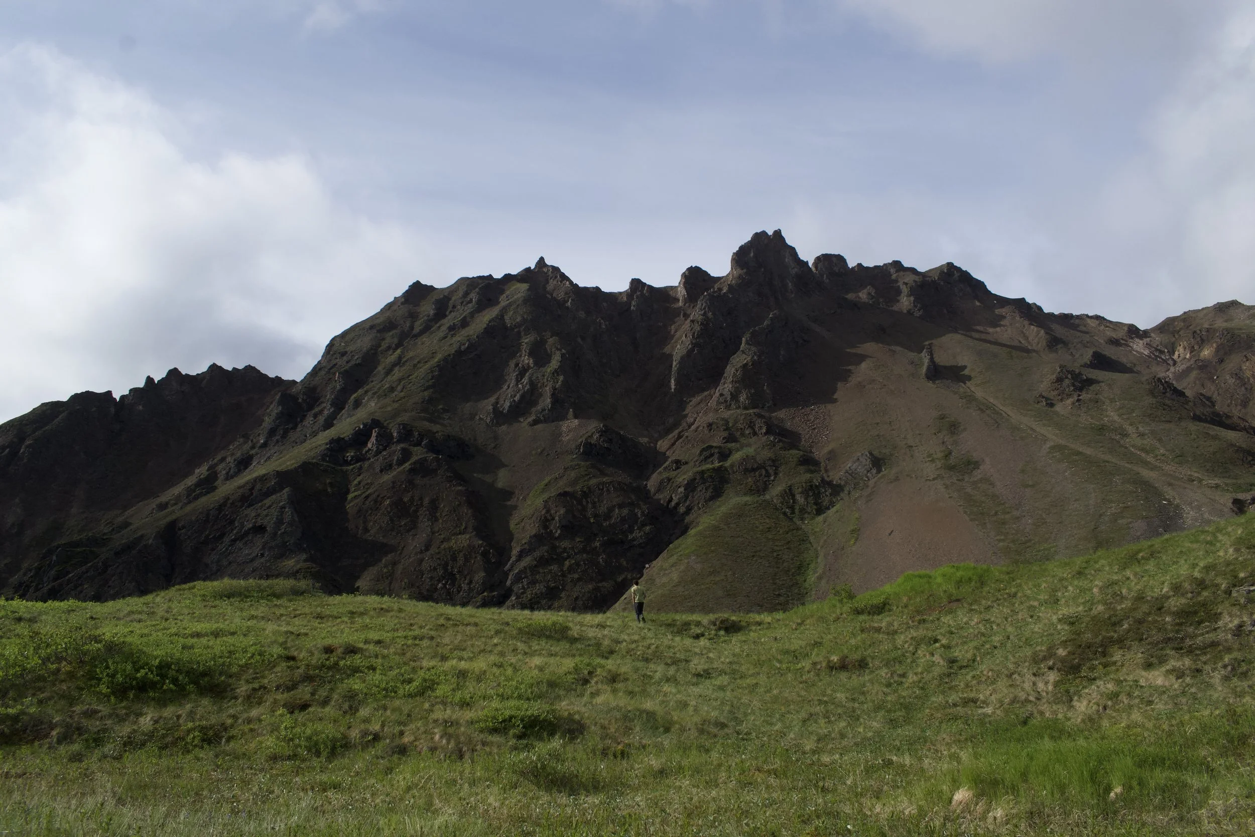 DSC_1254.jpeg