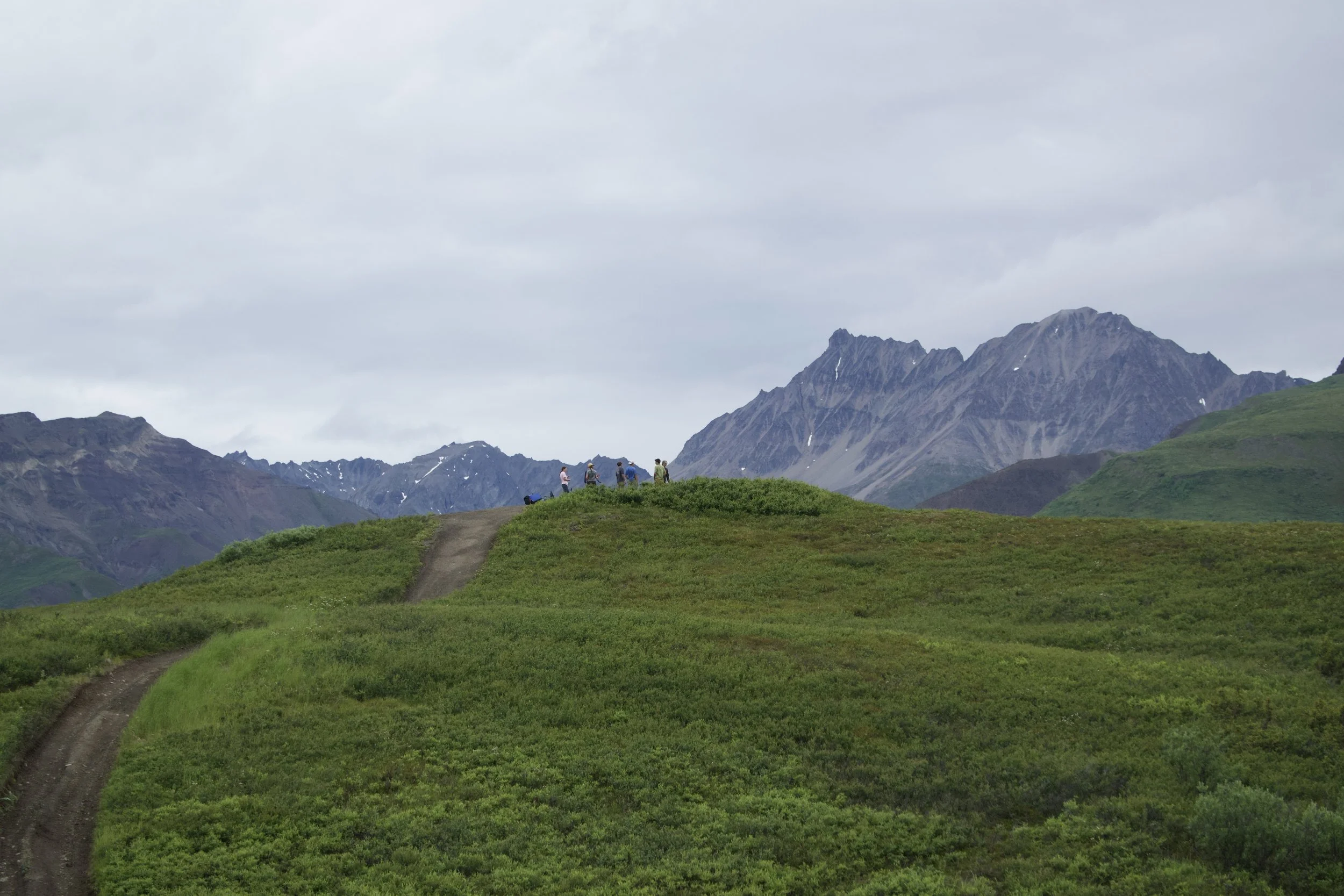 DSC_1049.jpeg