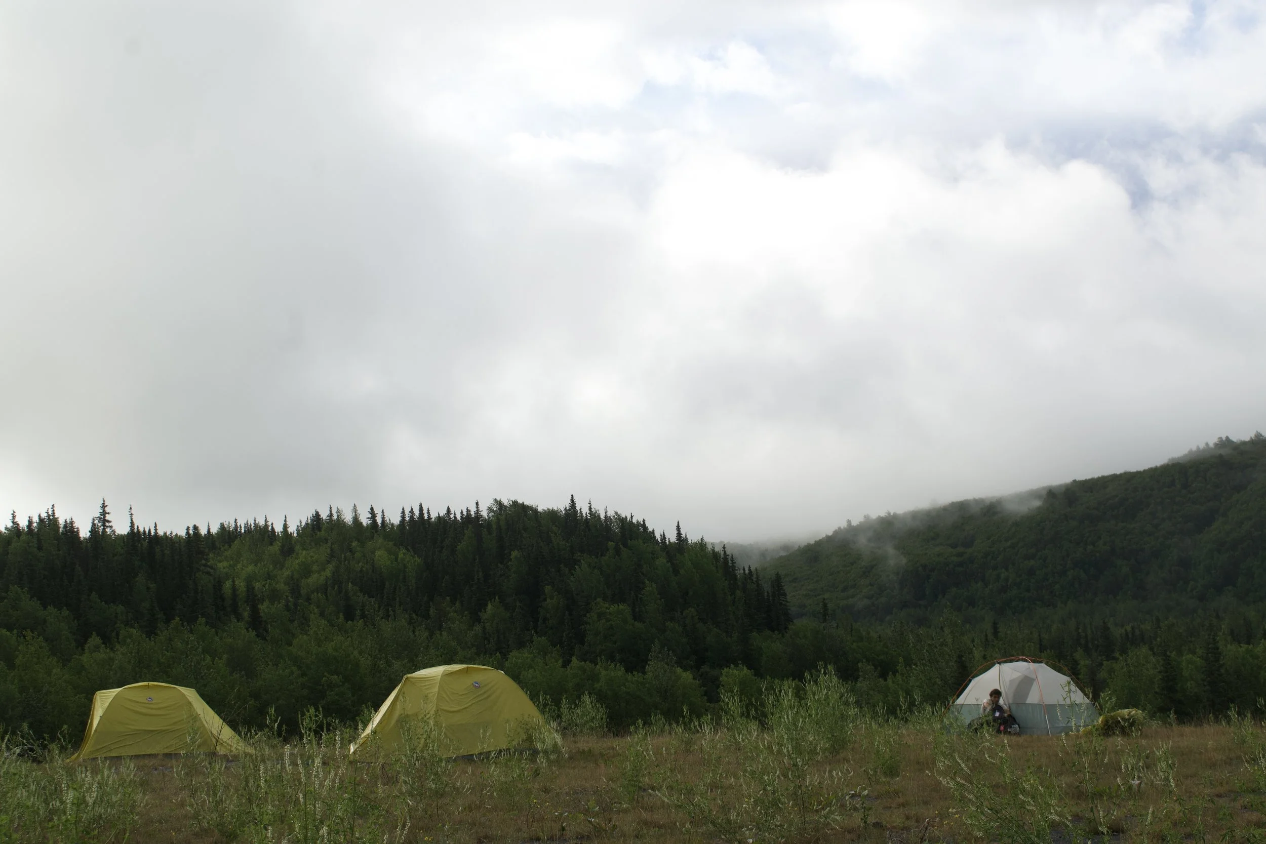 DSC_1024.jpeg