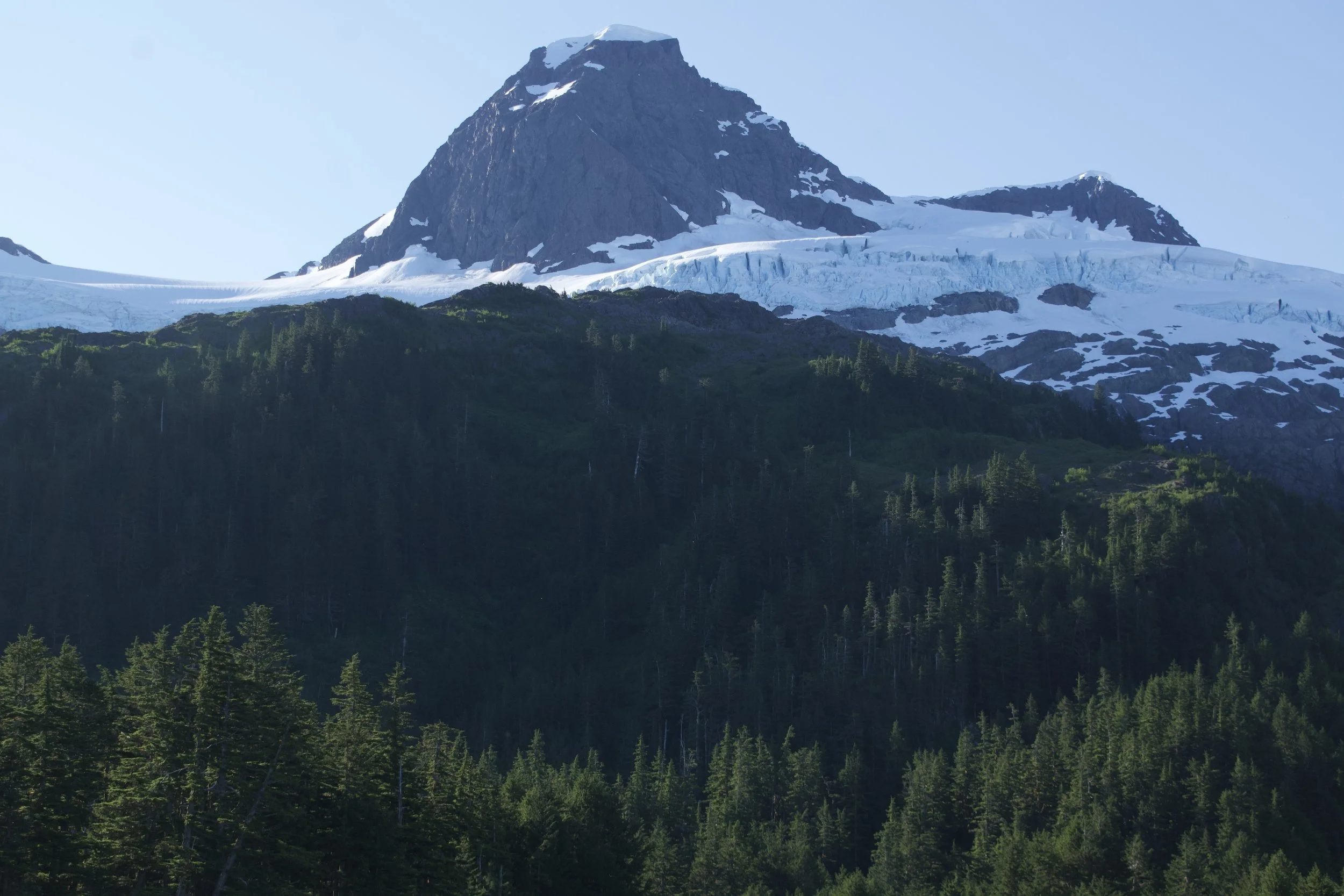 DSC_1153.jpeg