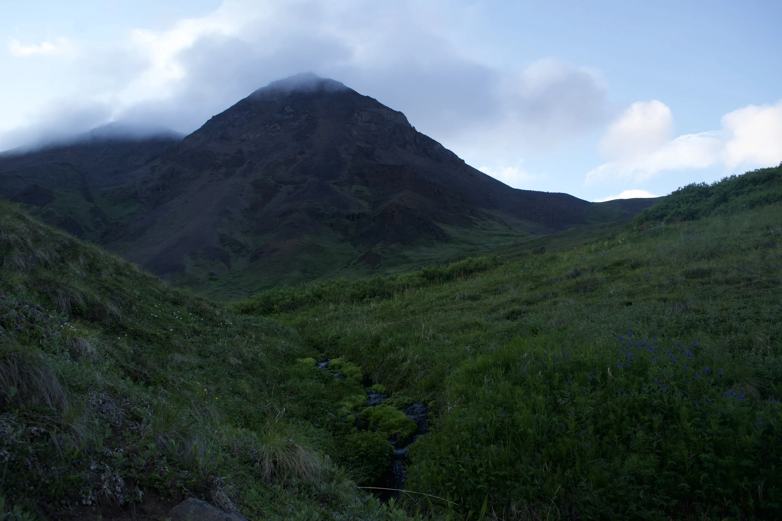 DSC_1219 2.jpeg