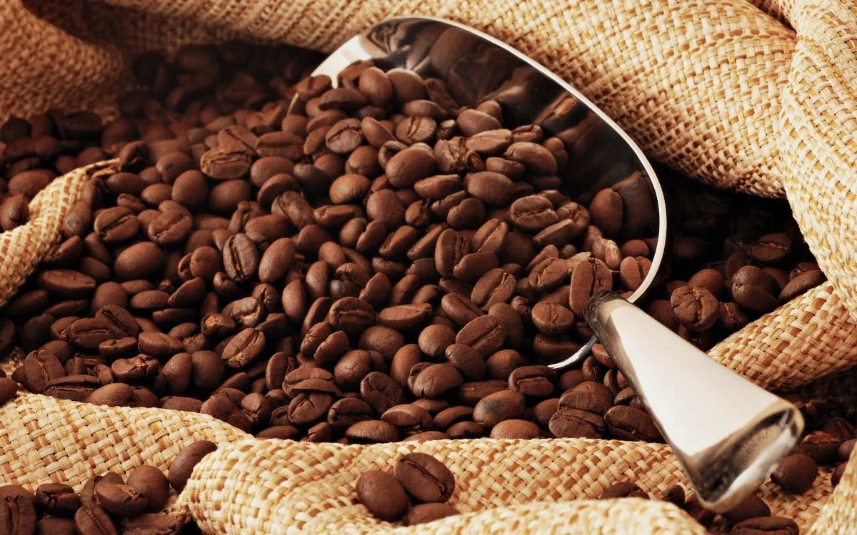 LUWAK COFFEE ROBUSTA