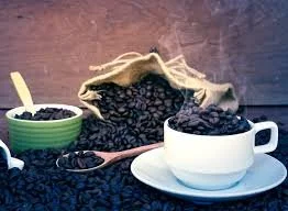 robusta 4.jpeg
