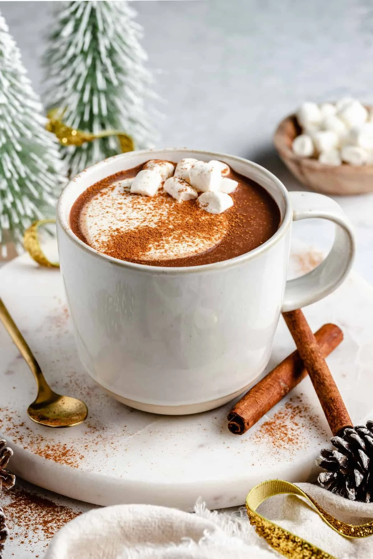 Vegan-Hot-Chocolate-8.jpg