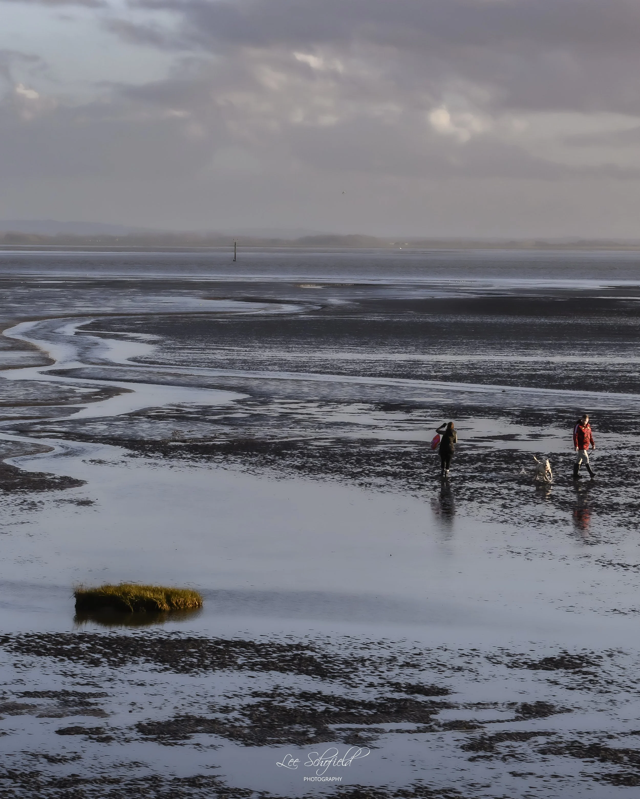 Three people and a dog walk across a wide, muddy beach with patches of water and grass, under a cloudy sky.