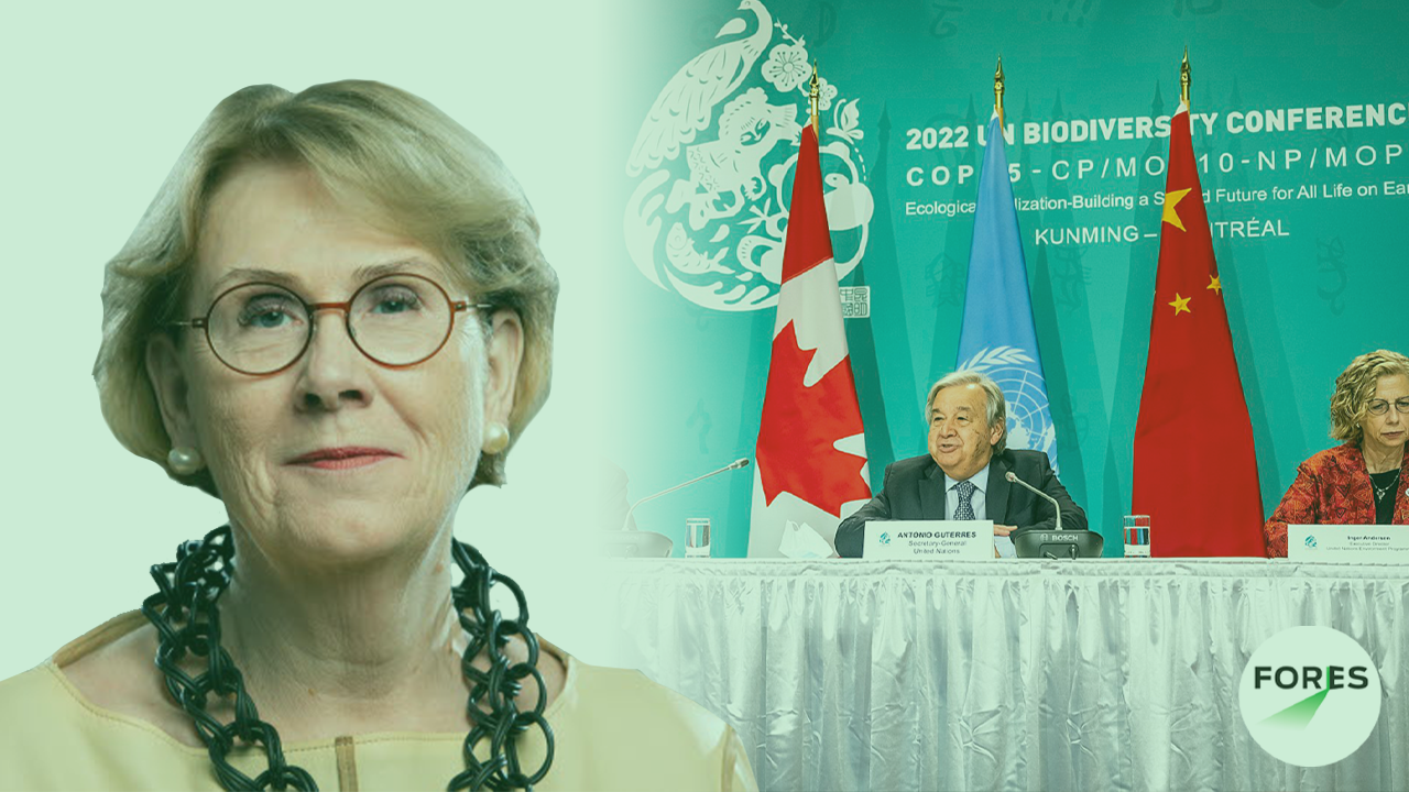 Åsa-Britt Karlsson kommenterar avtalet vid COP15