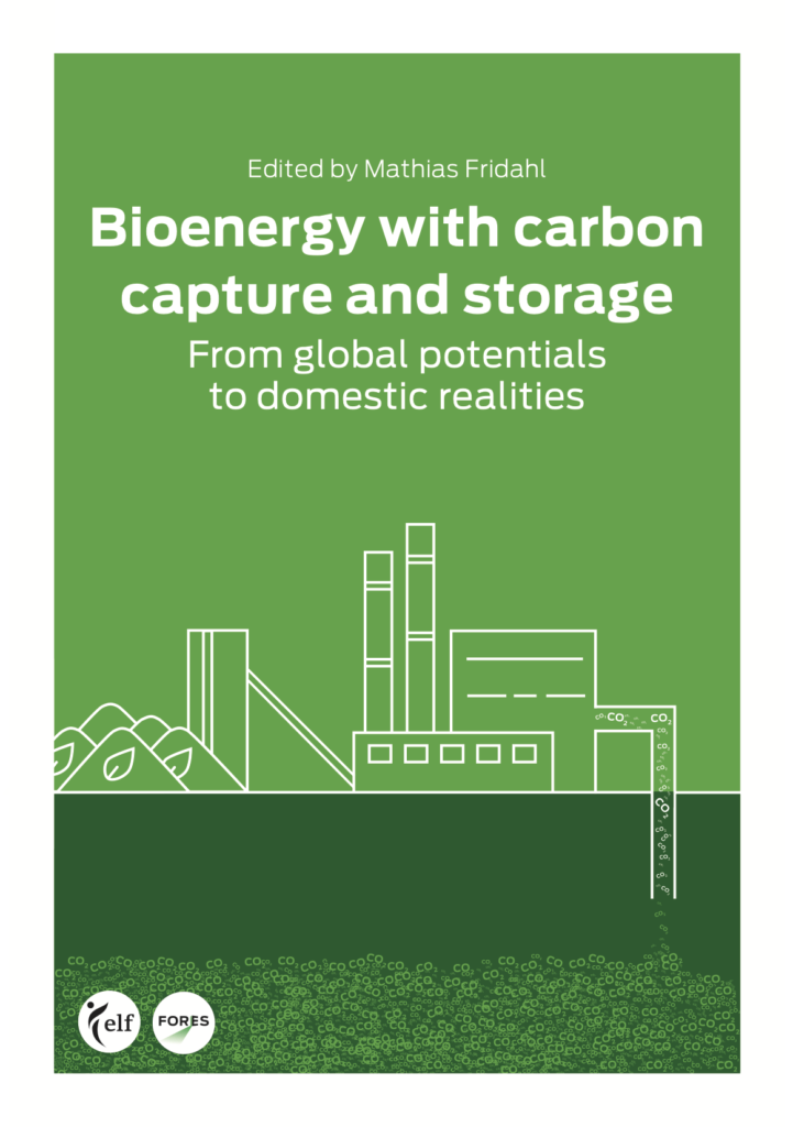 Bioenergy with carbon capture and storage