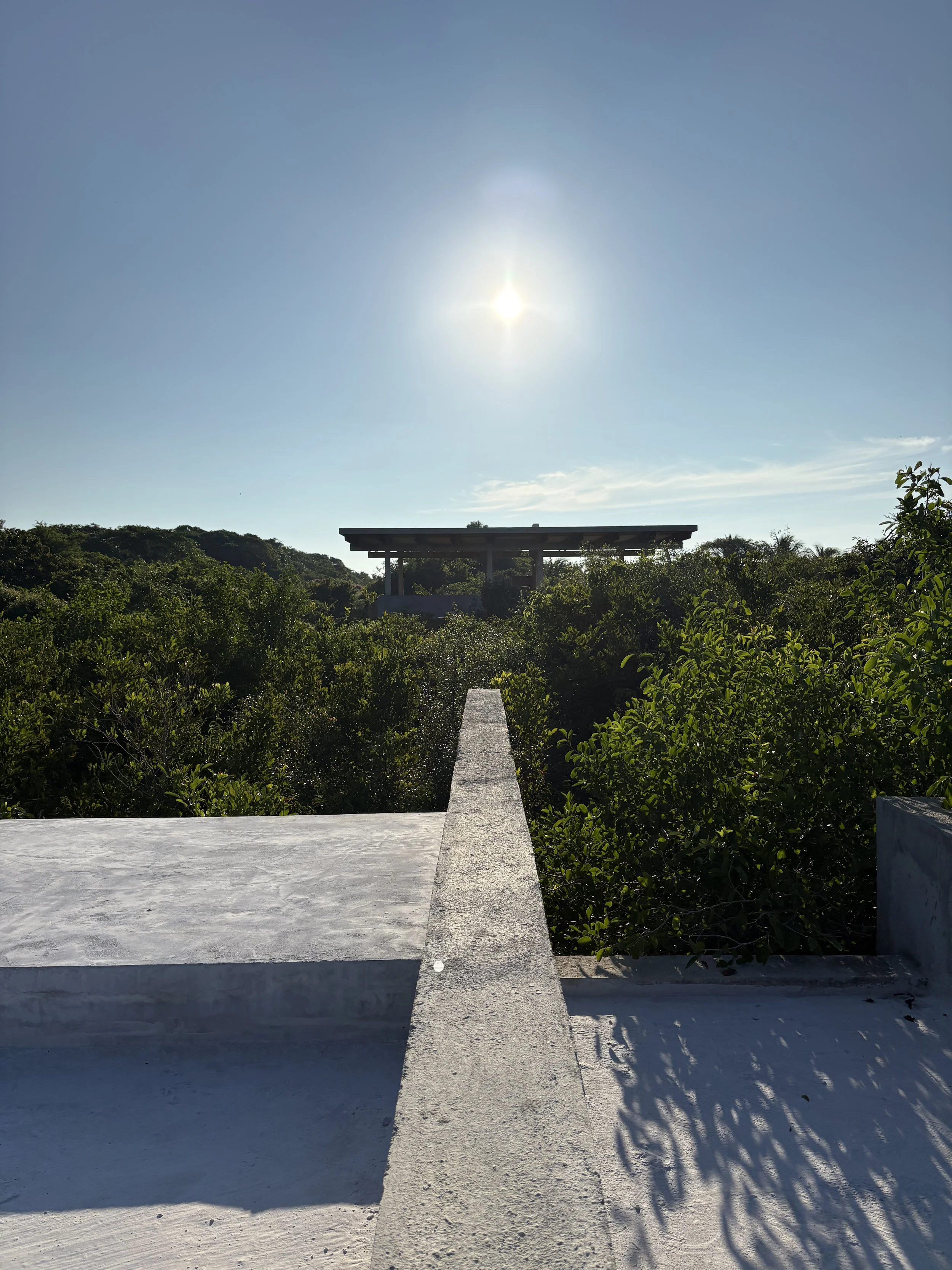 Bungalow of the project surrounded my nature