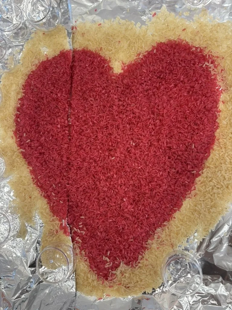 herz aus gefärben reis