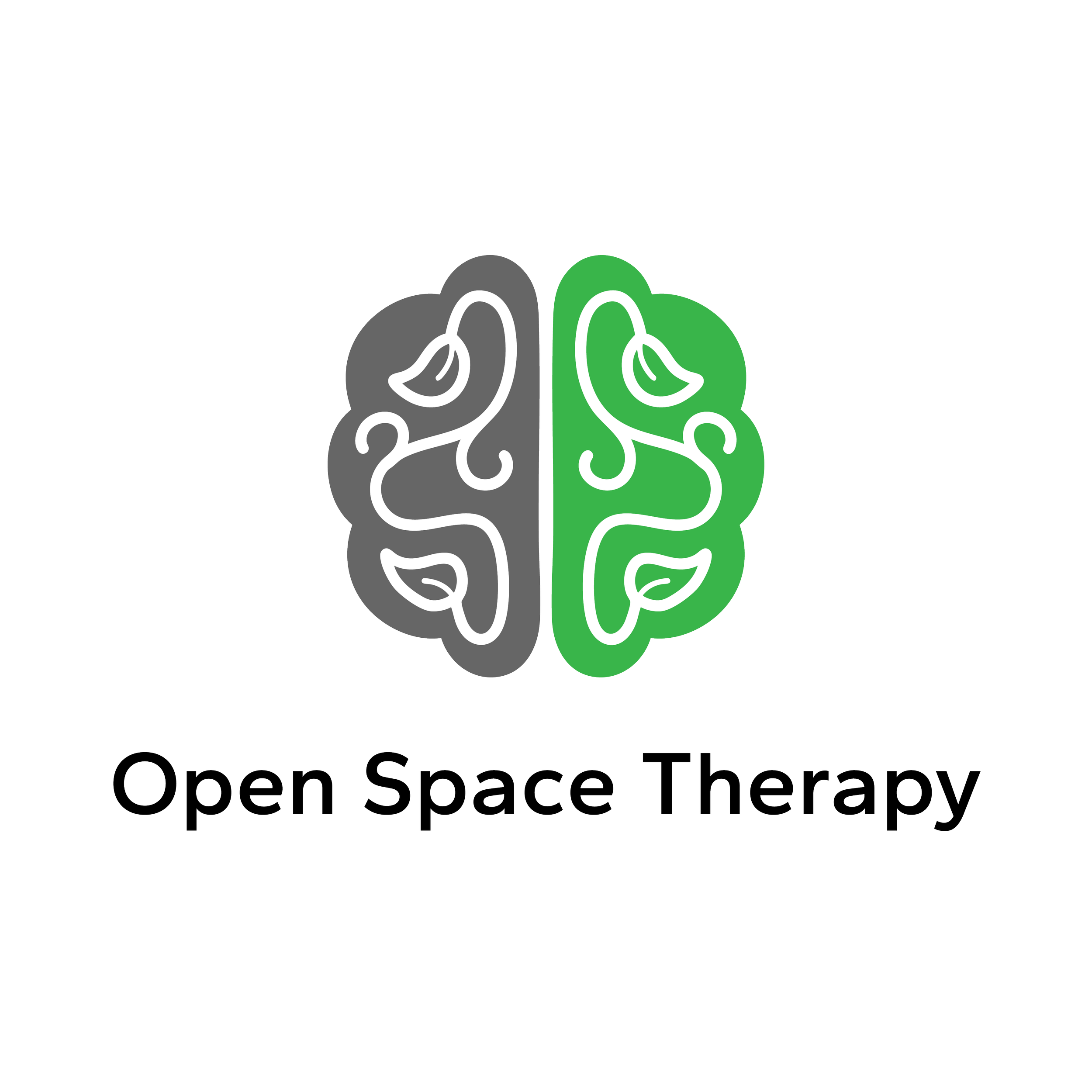 Logo featuring a stylized brain divided into two halves, one gray and one green, with the text 'Open Space Therapy' below.