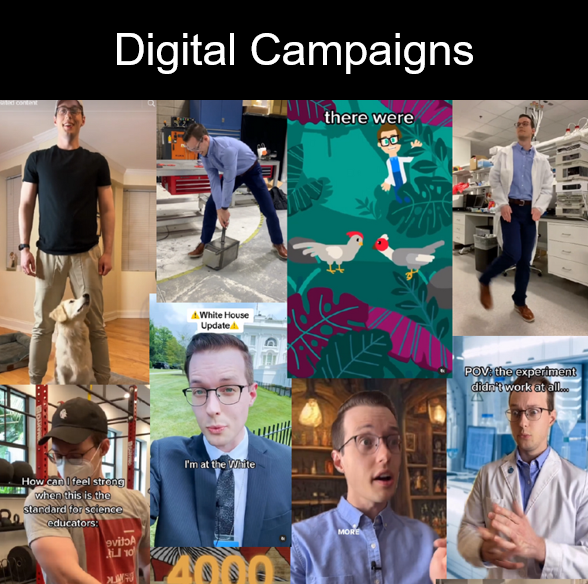 Digital Campaigns