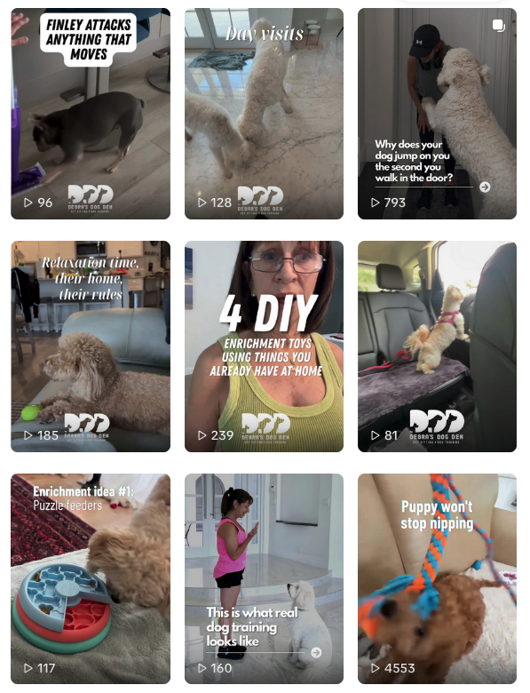 Debra's Dog Den social media content collage — dog training and enrichment video series designed by Nitram Design